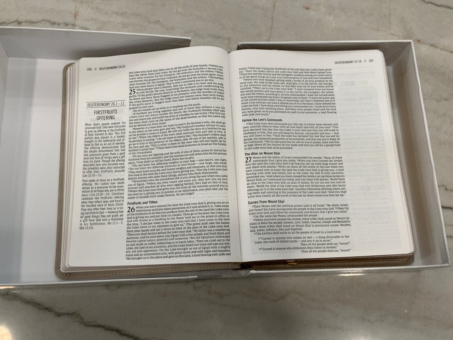 The Jesus Bible