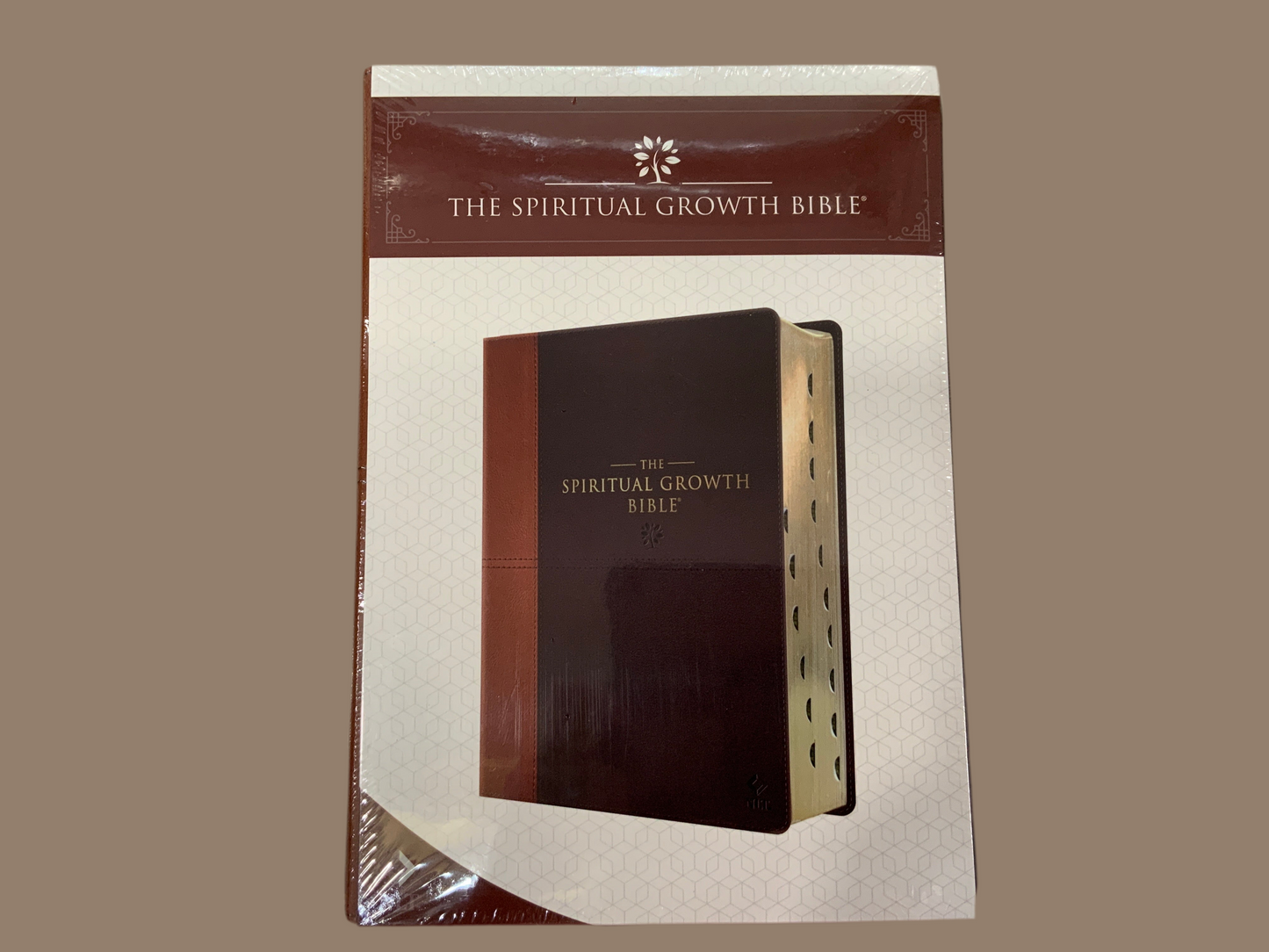 NLT spiritual growth Bible brown & ginger