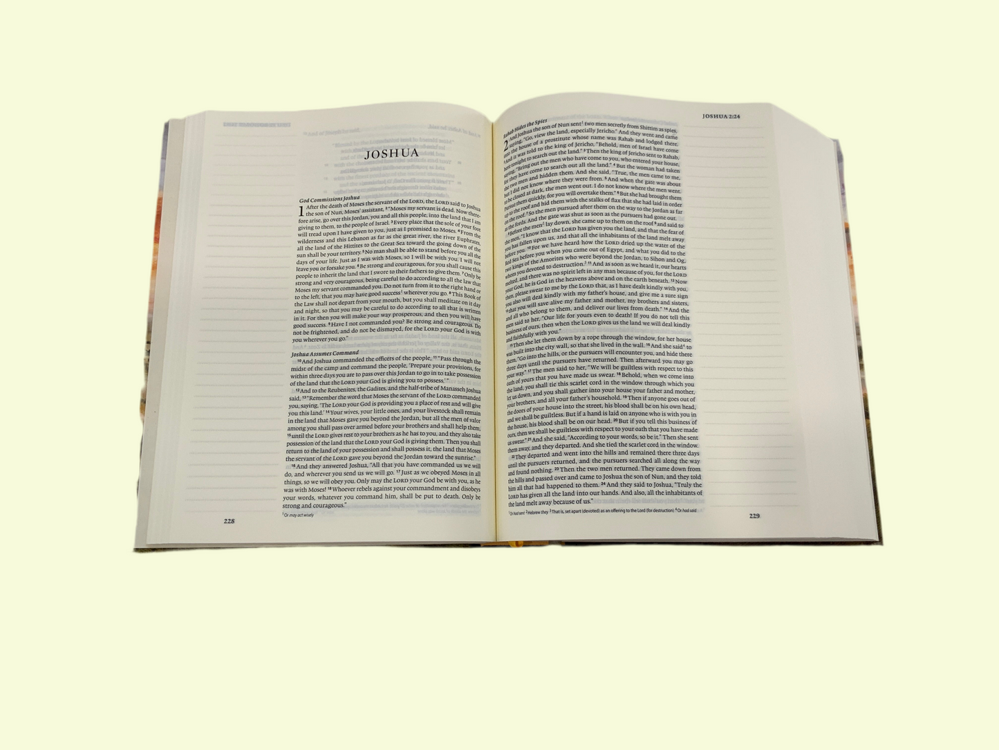 Charlotte Sunset Bible (117)