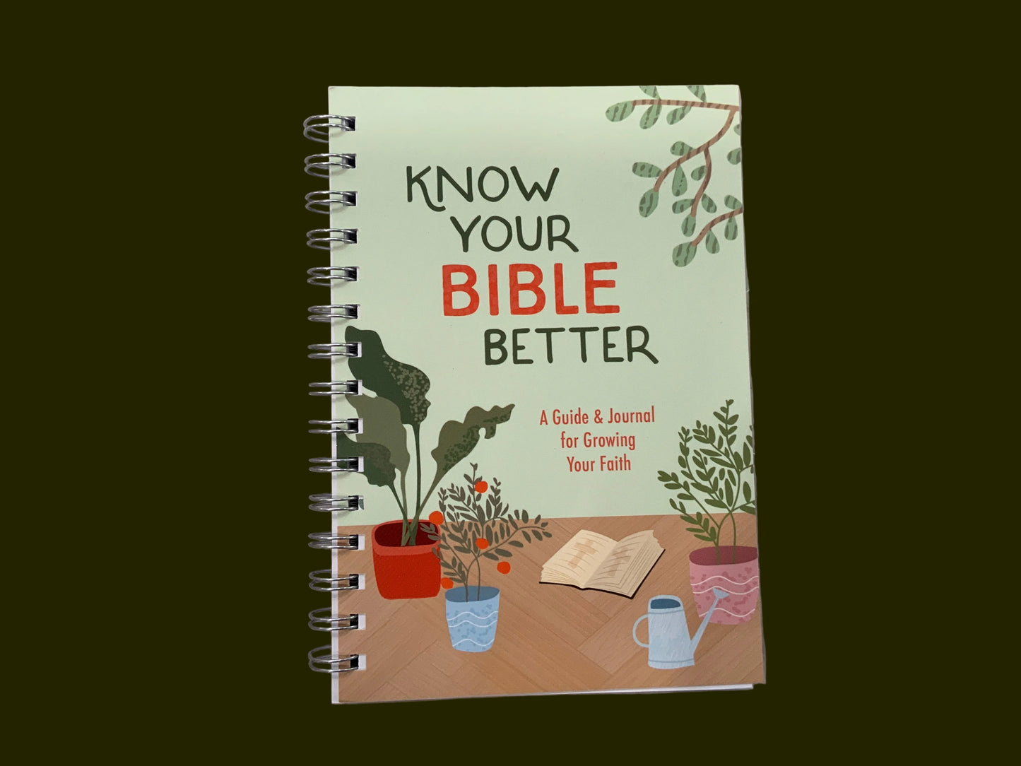 Know Your Bible Better