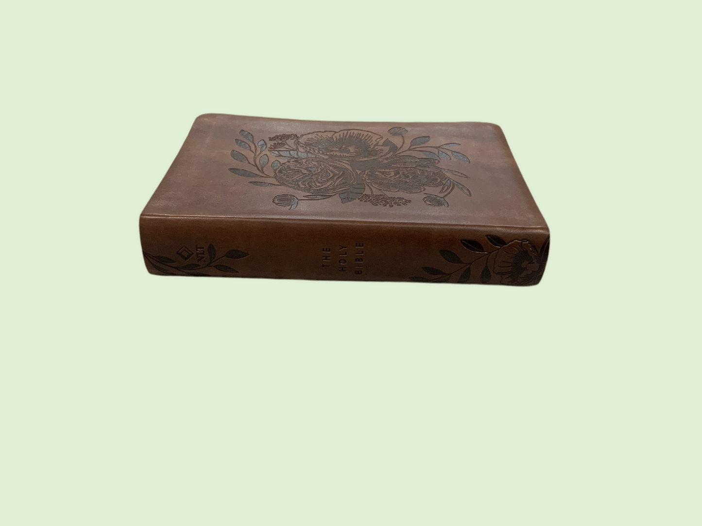 Jade Compact Leather Bible (117)