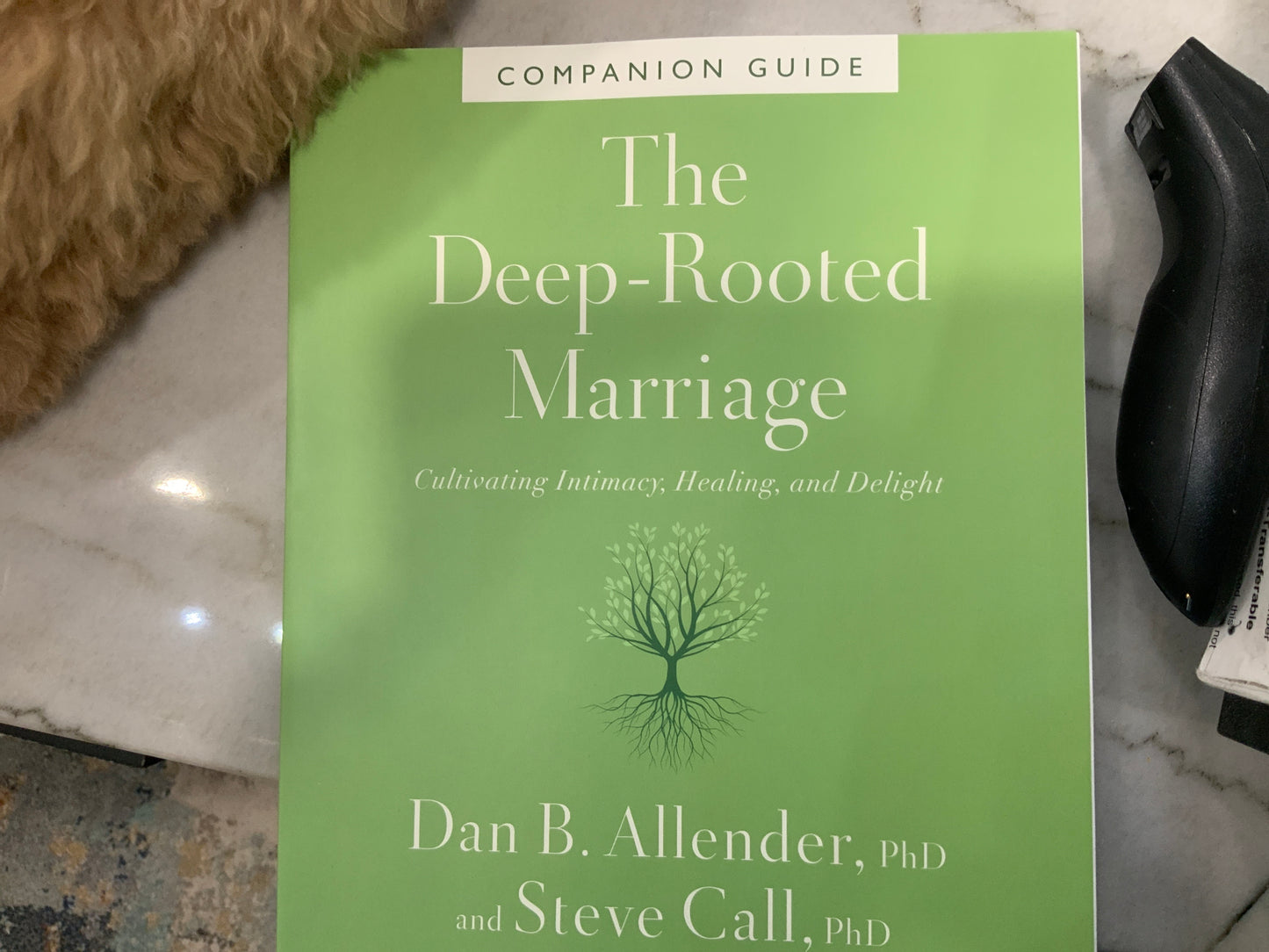 The Deep - Rooted Marriage