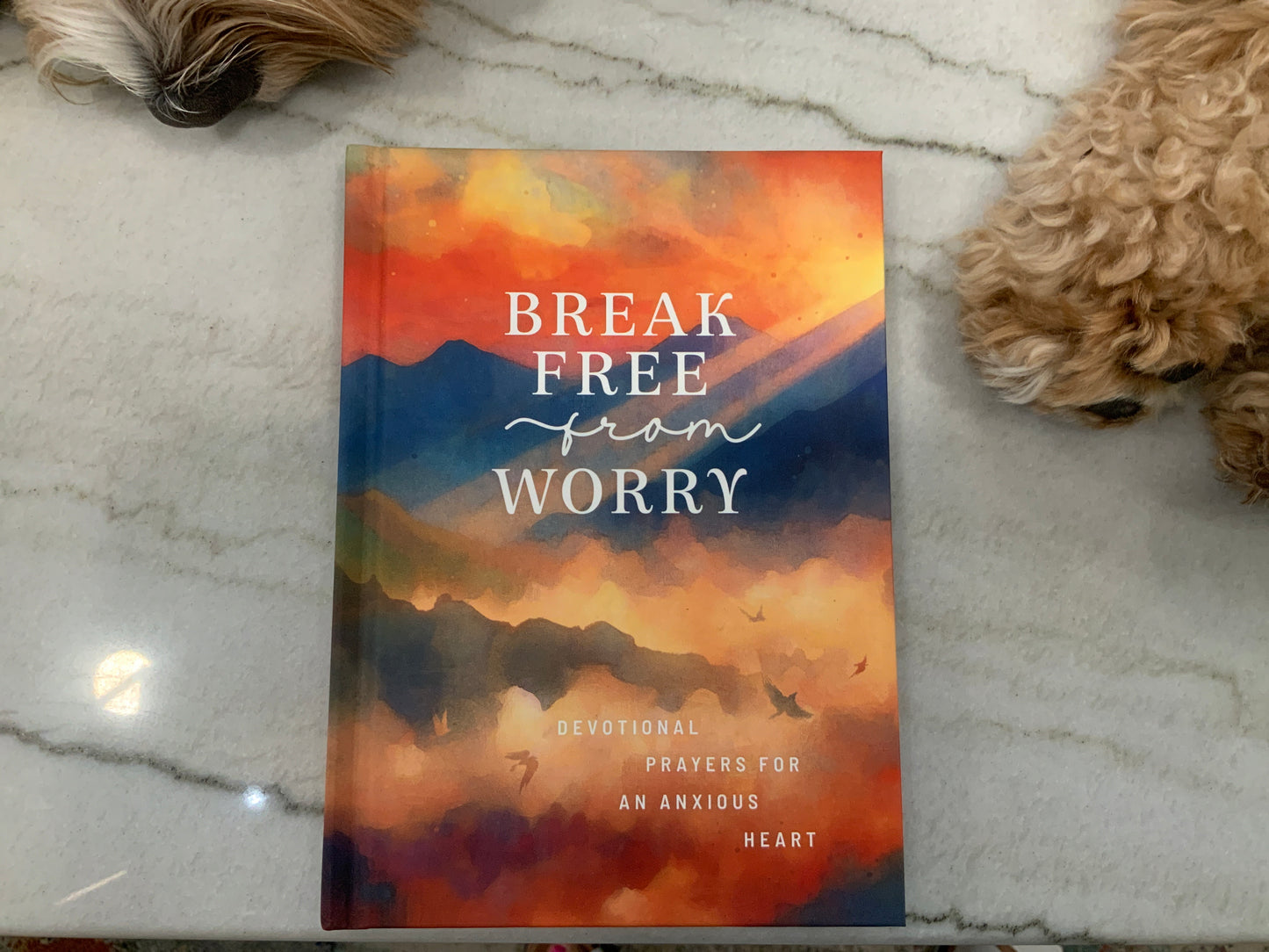 Break Free from Worry Book