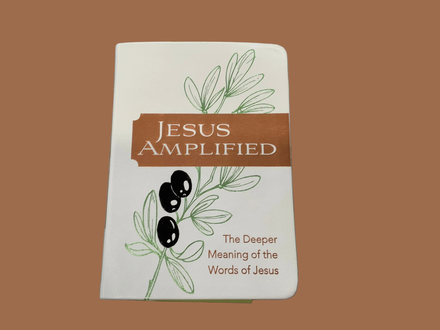 Jesus Amplified Devotional
