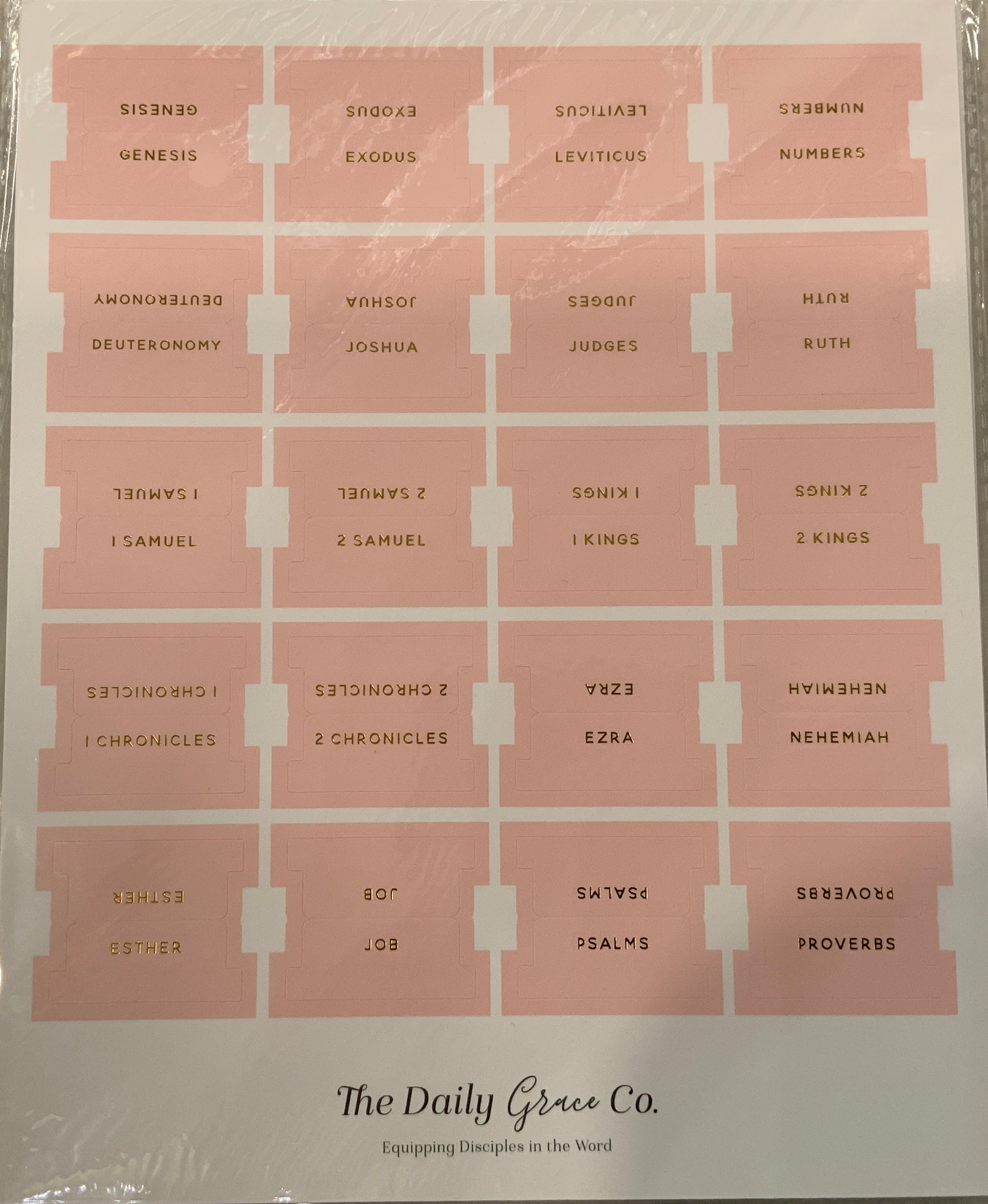 Blush Bible Tabs