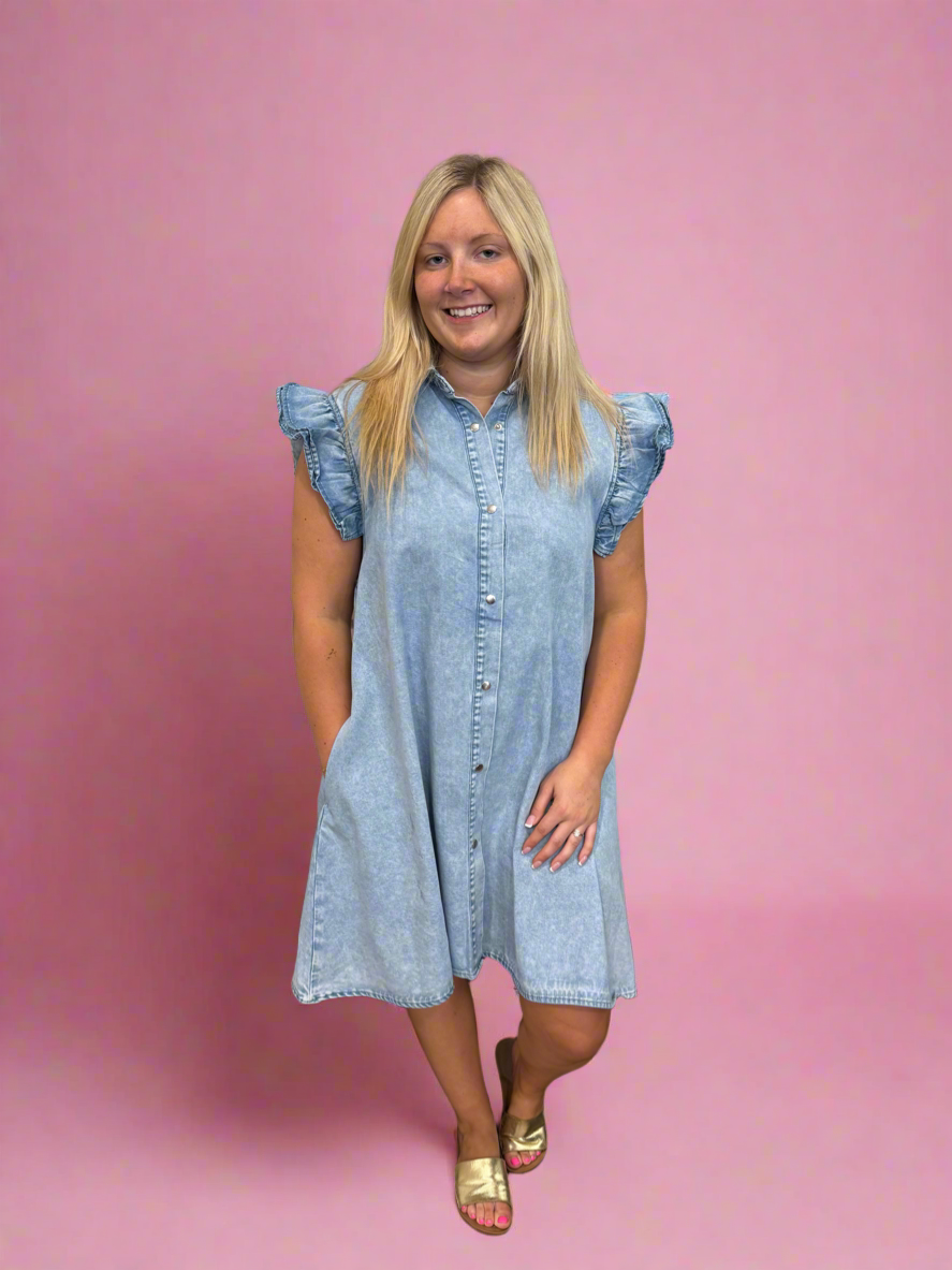 Daydream Denim Dress