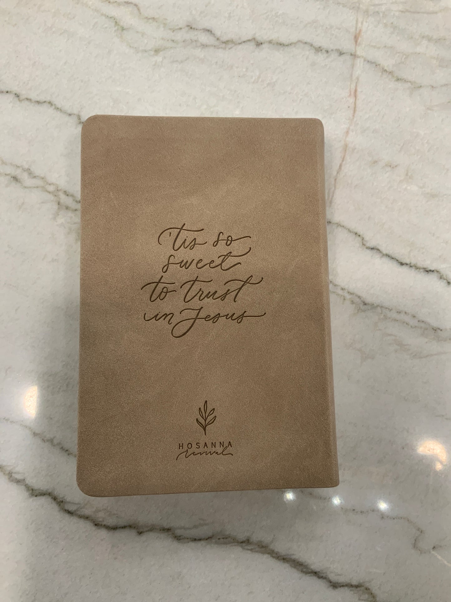 Amber Compact Bible NLT (117)