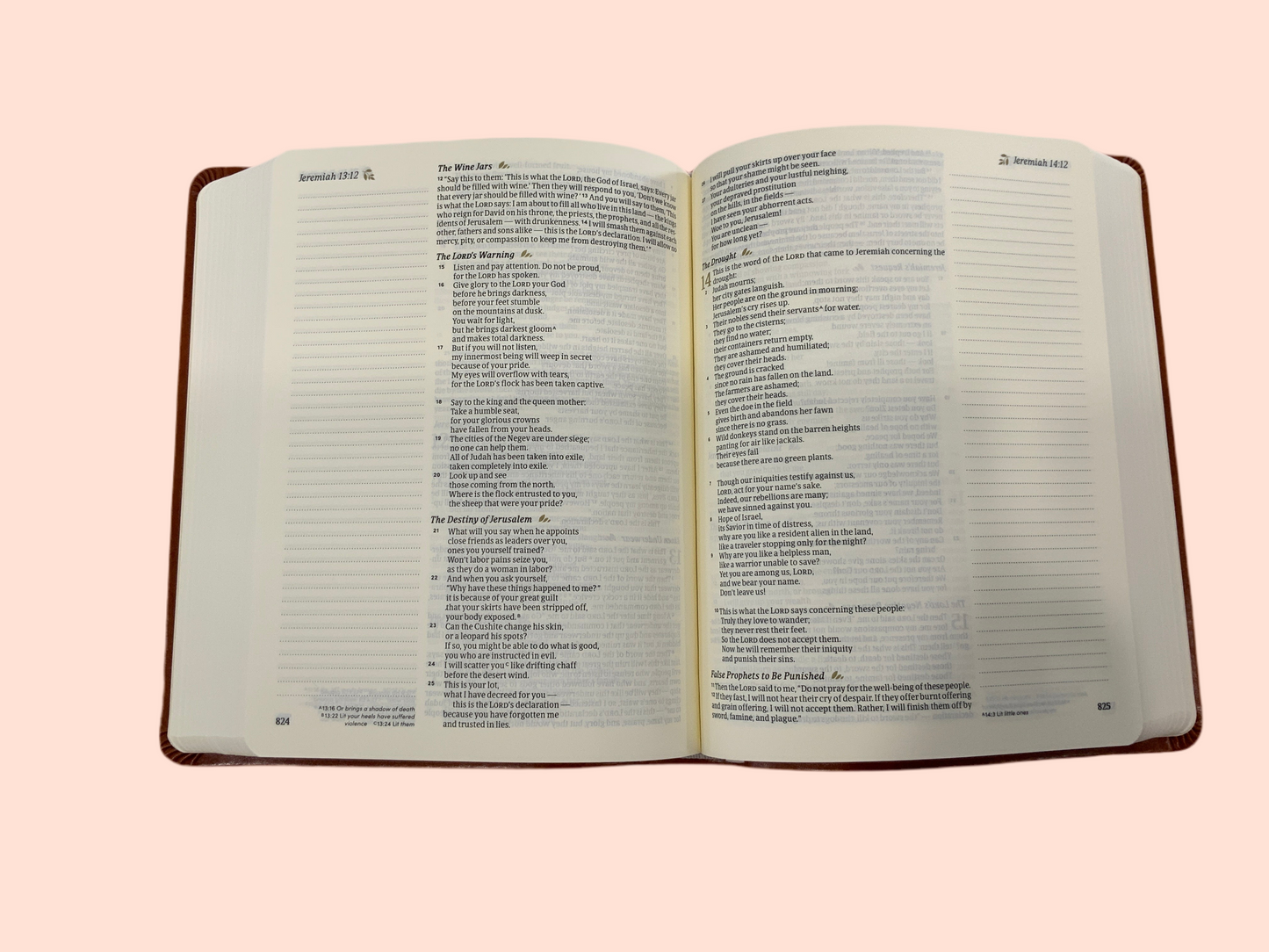 Emily Leather Bible (117)