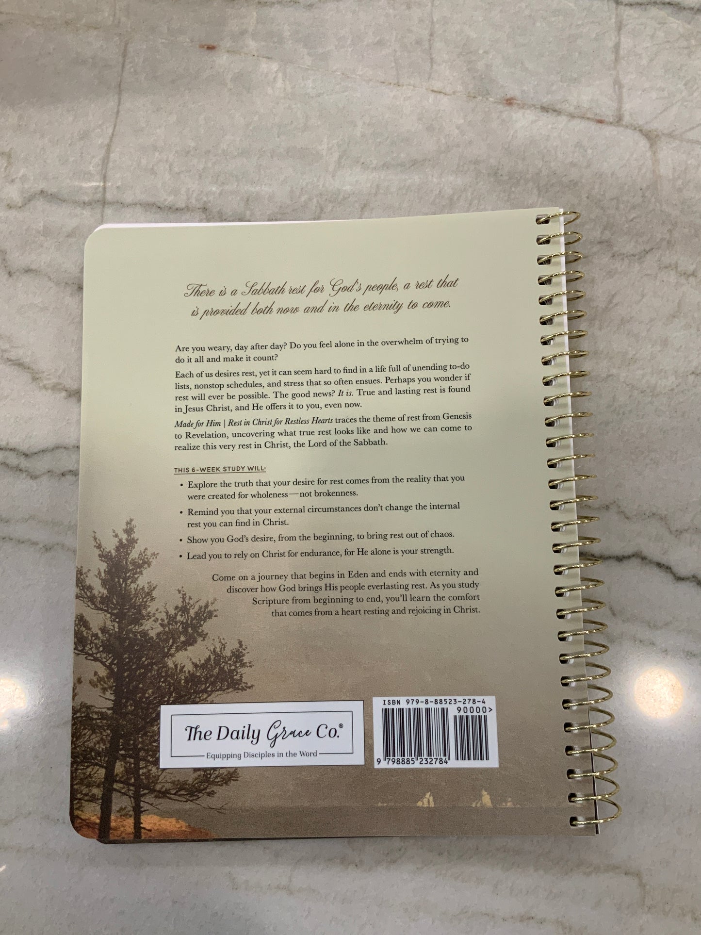Made for Him Devotional