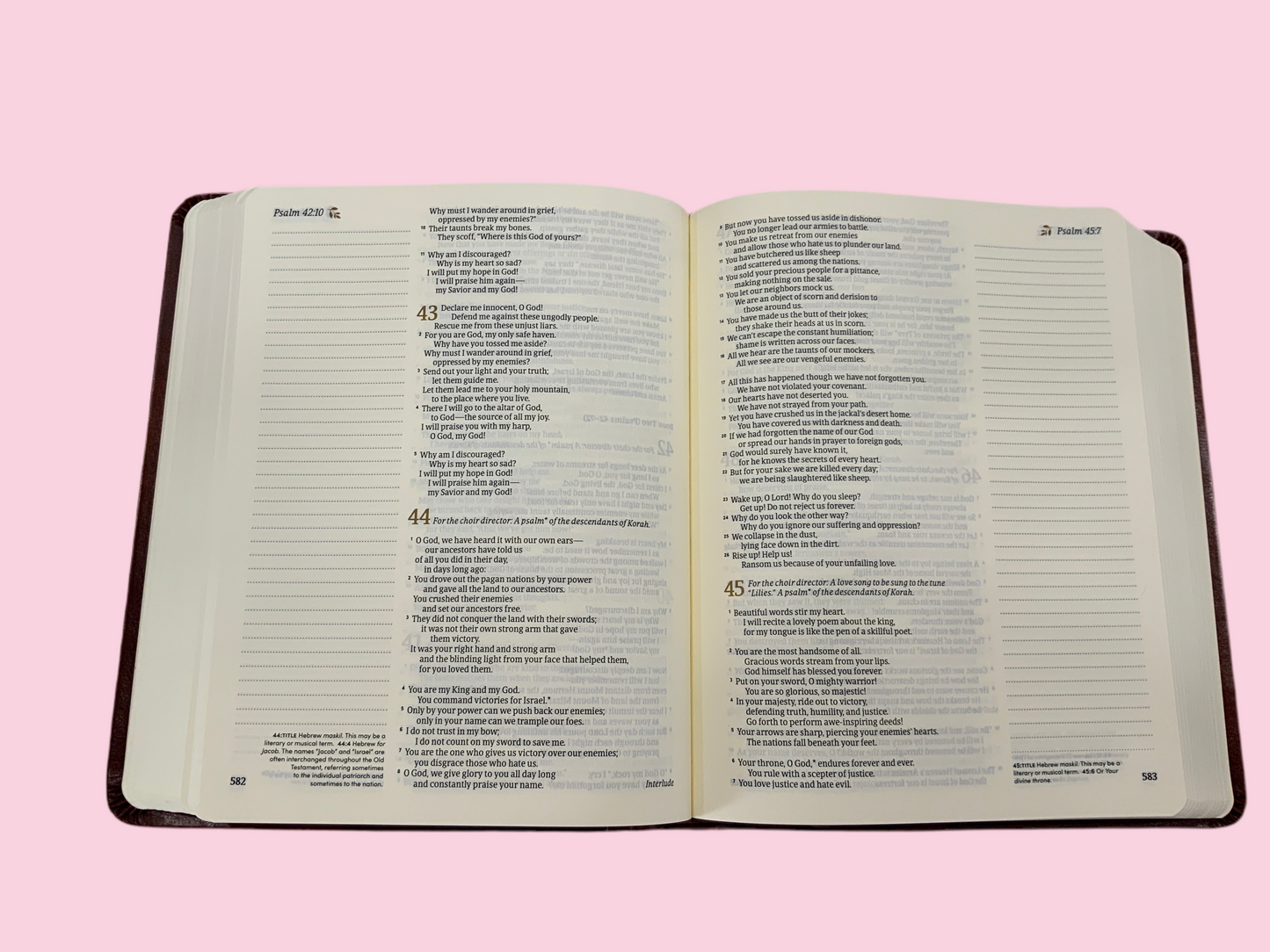 Jamie Brown Bible