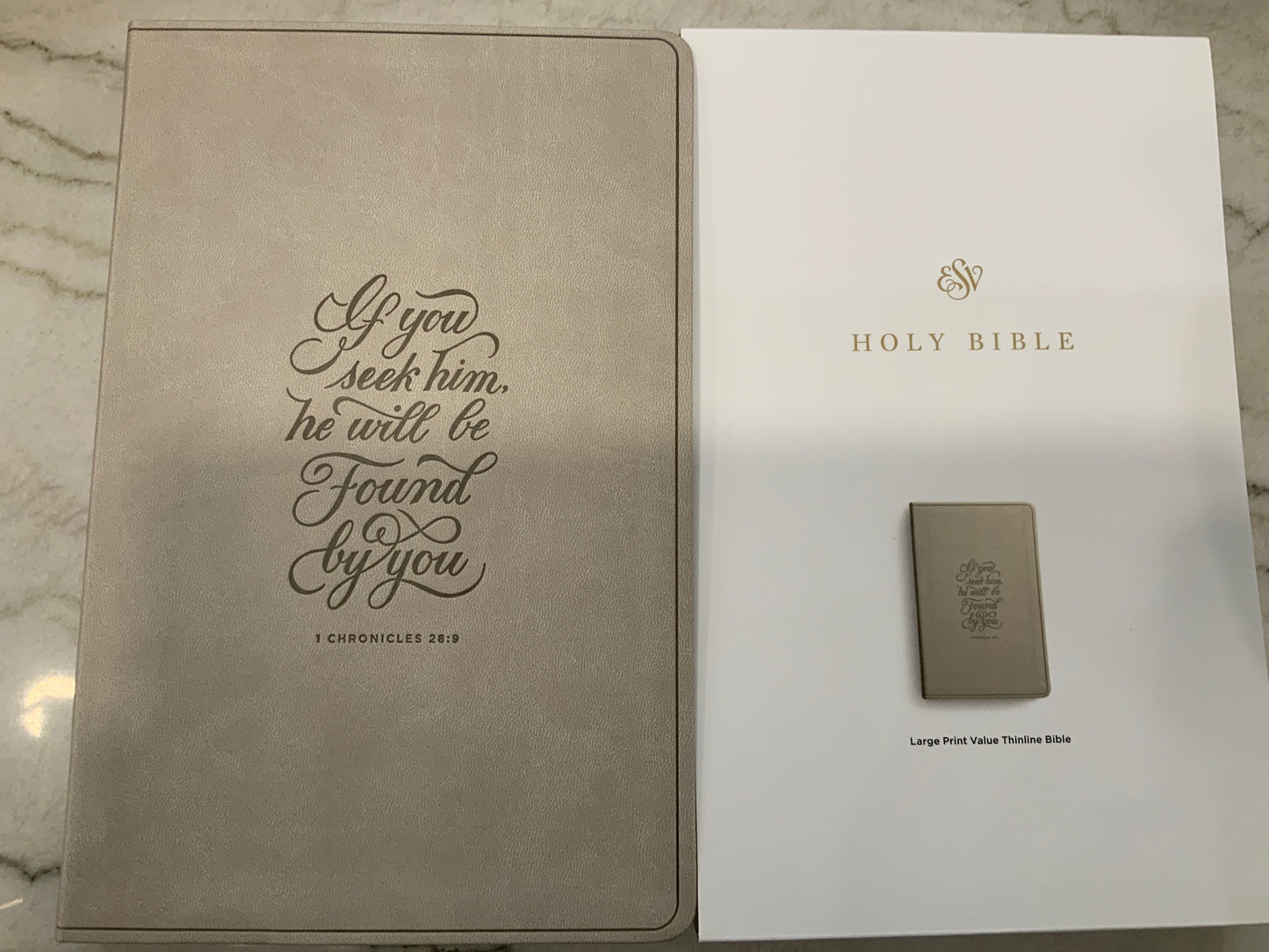 Seek Him Light Grey ESV Bible