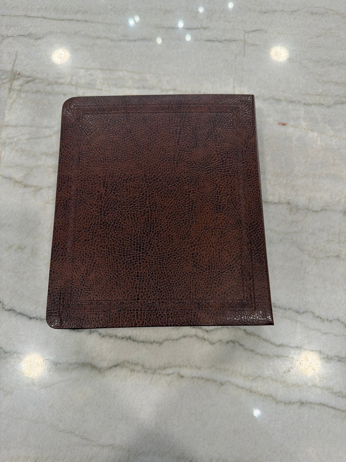 Journaling Leather Brown Bible
