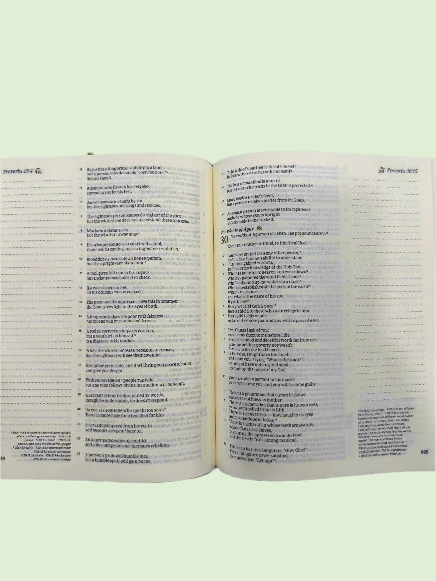 Zoe Meadows Bible - CSB