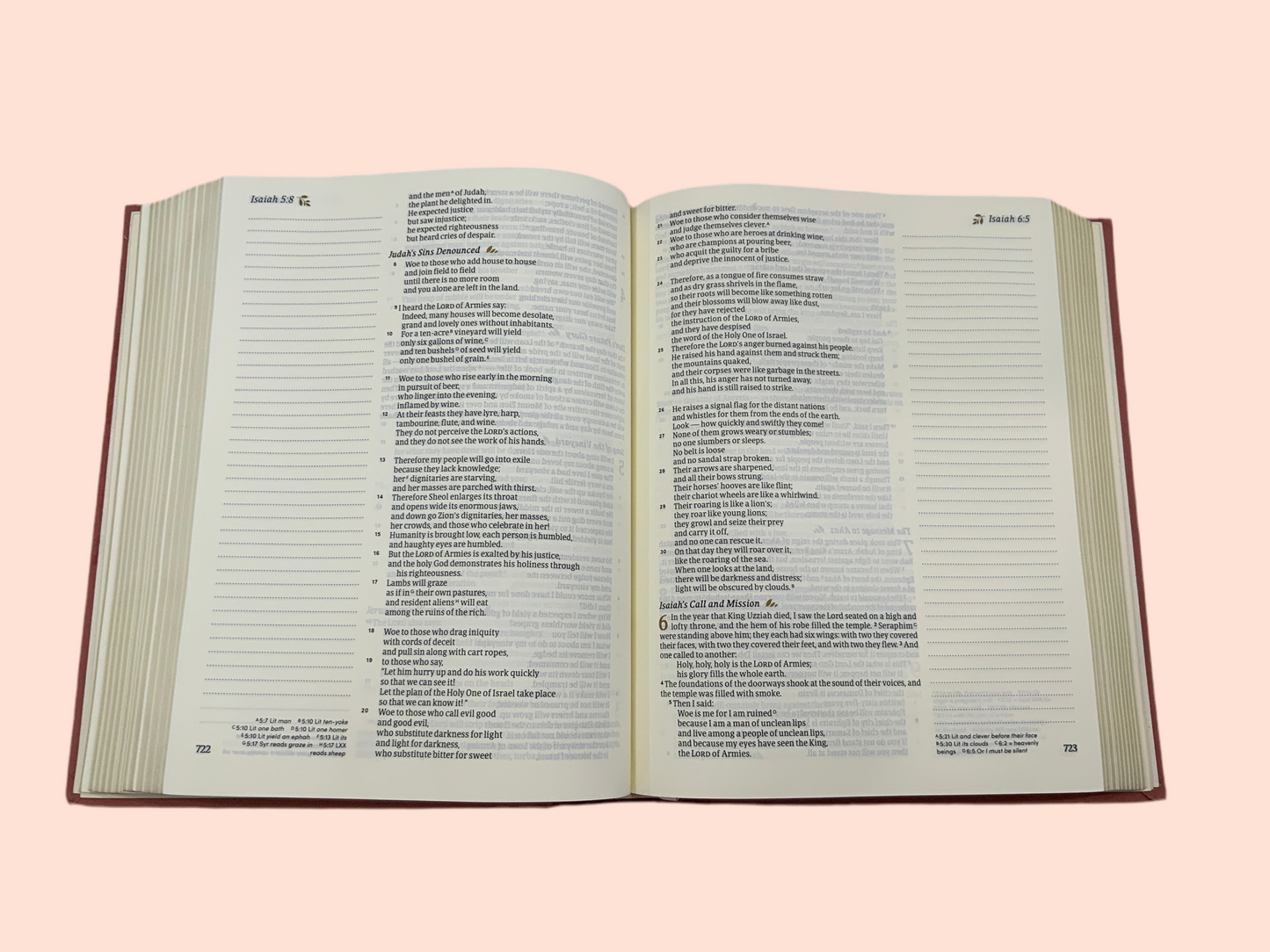 Hannah Bible (117)