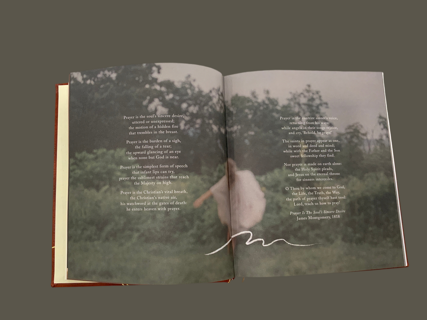 Pray Like This Book