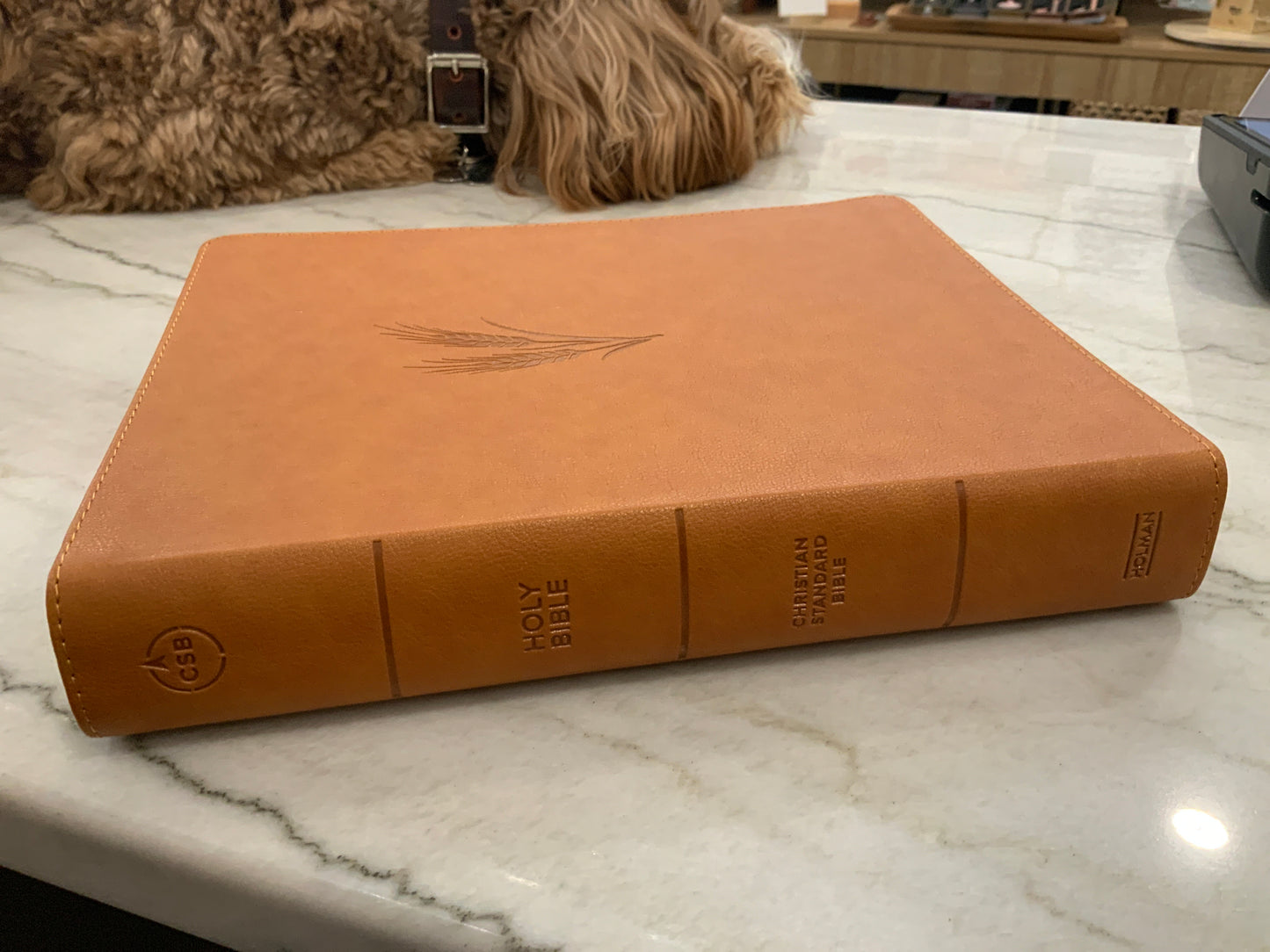 Clara Bible CSB (117)