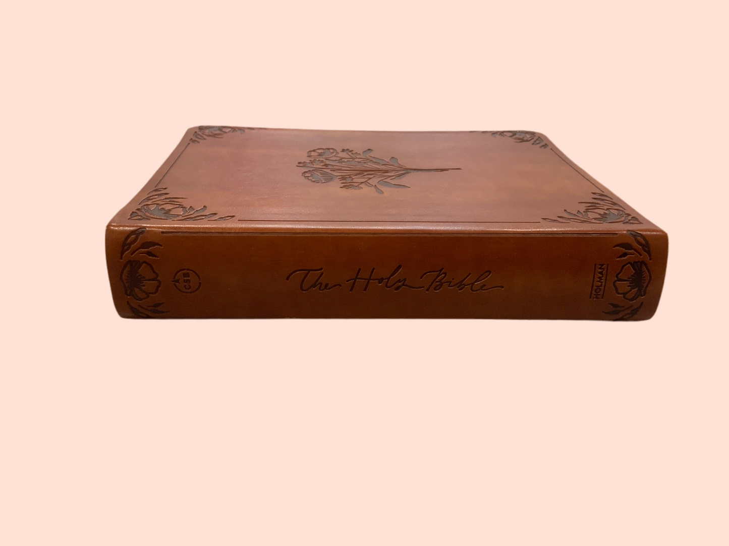 Emily Leather Bible (117)