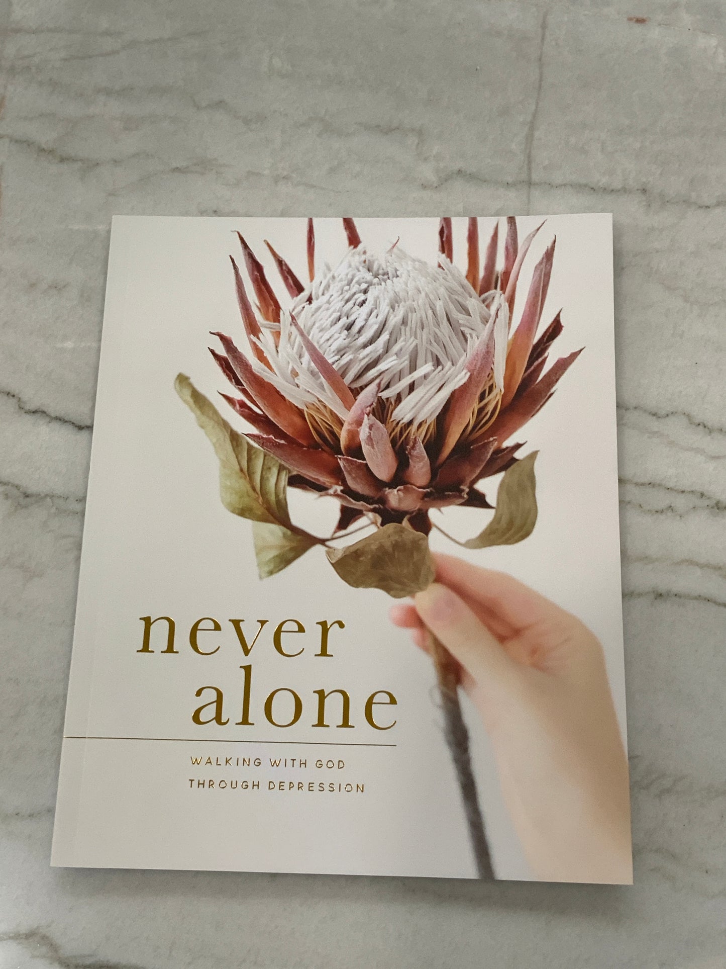 Never Alone Bible Study