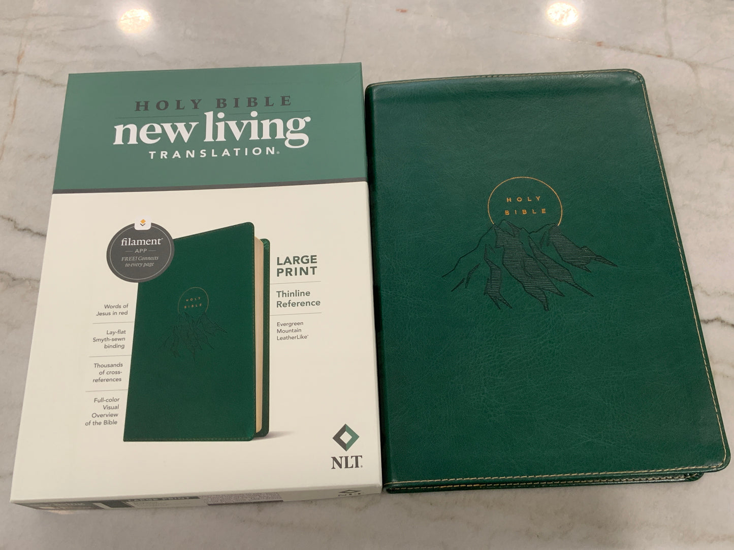 Evergreen Mountain NLT Large Print Thinline