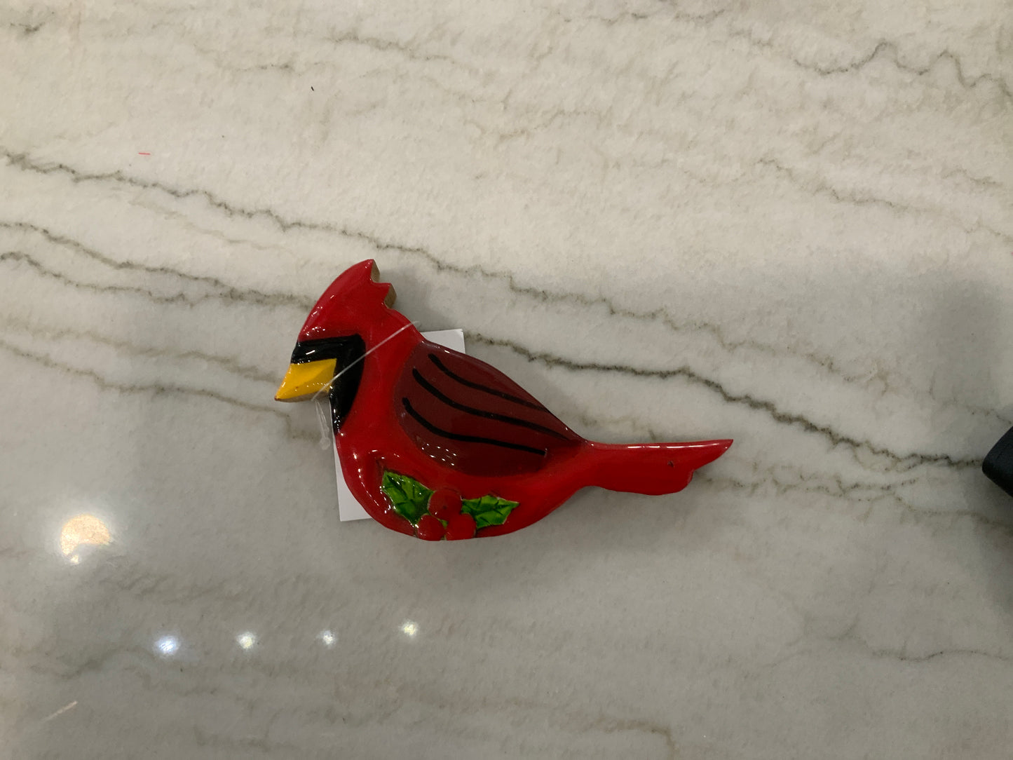 Coco the Cardinal