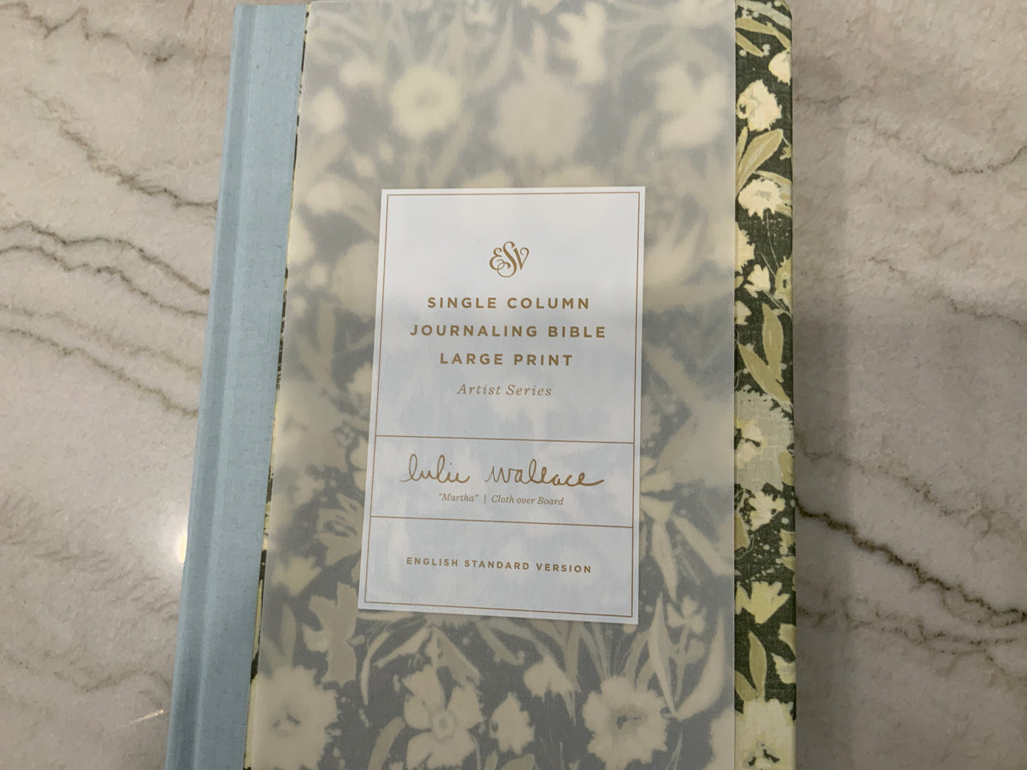 ESV Green & Blue Journaling Bible