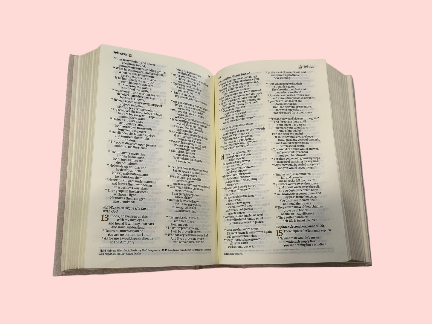 Brooklyn Compact Bible (117)