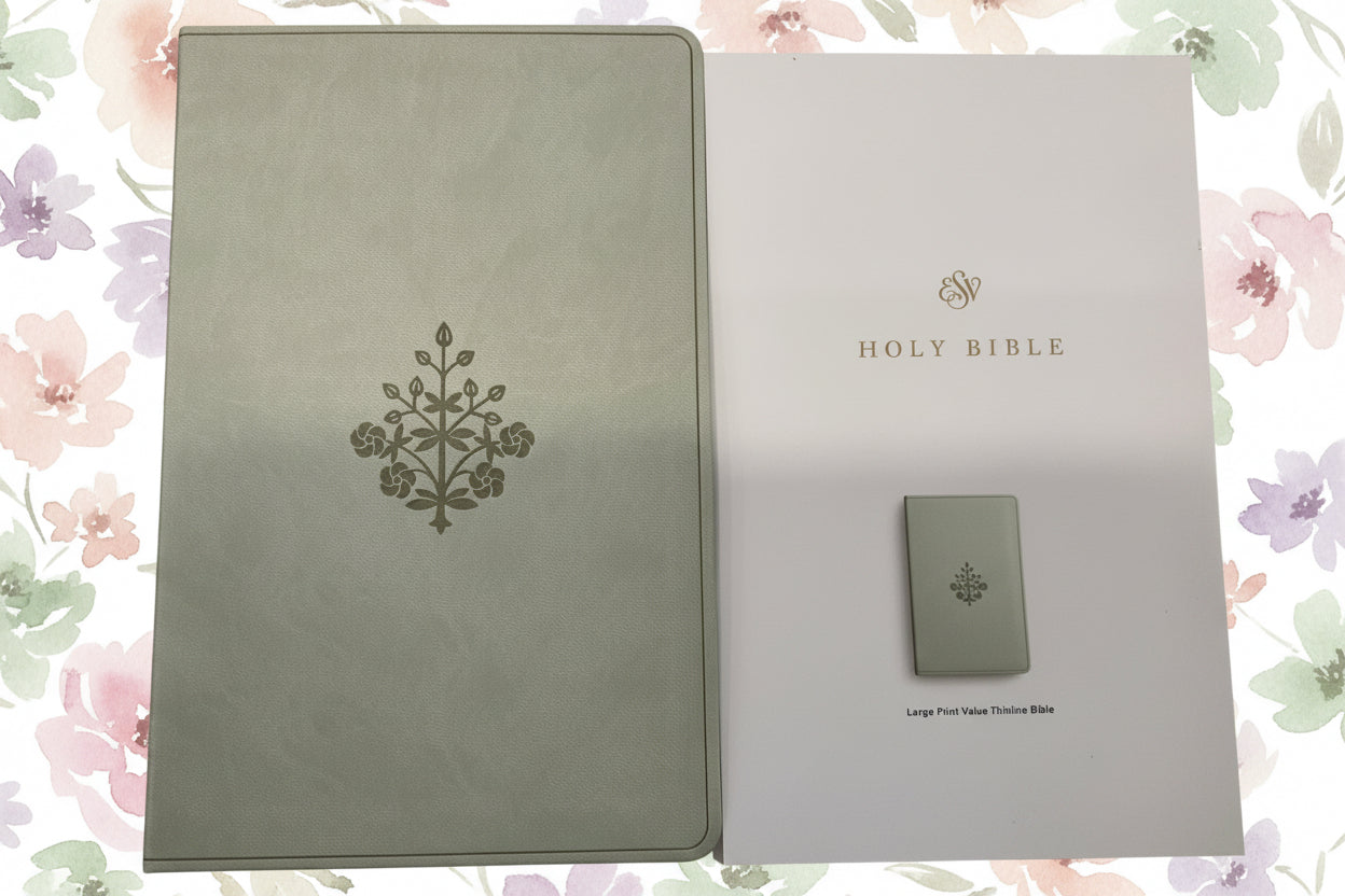 Light Grey ESV Bible