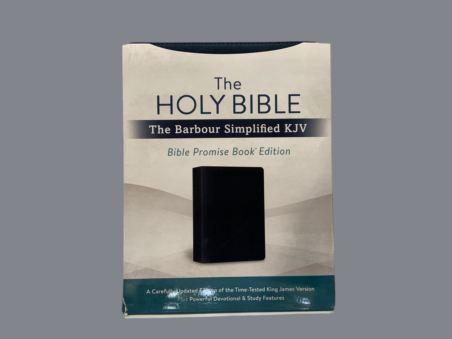 The Promise Bible