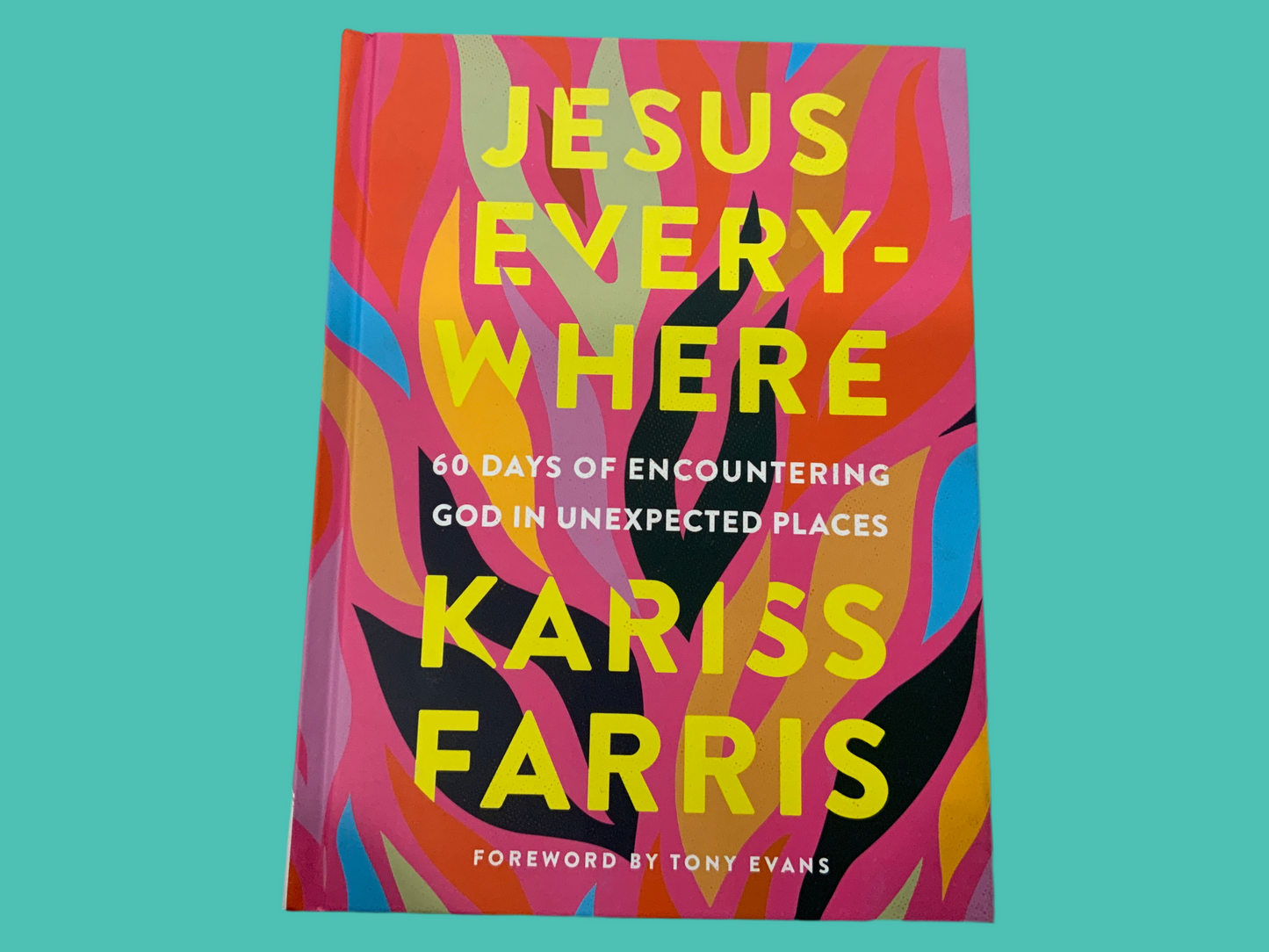Jesus Everywhere Book(117)