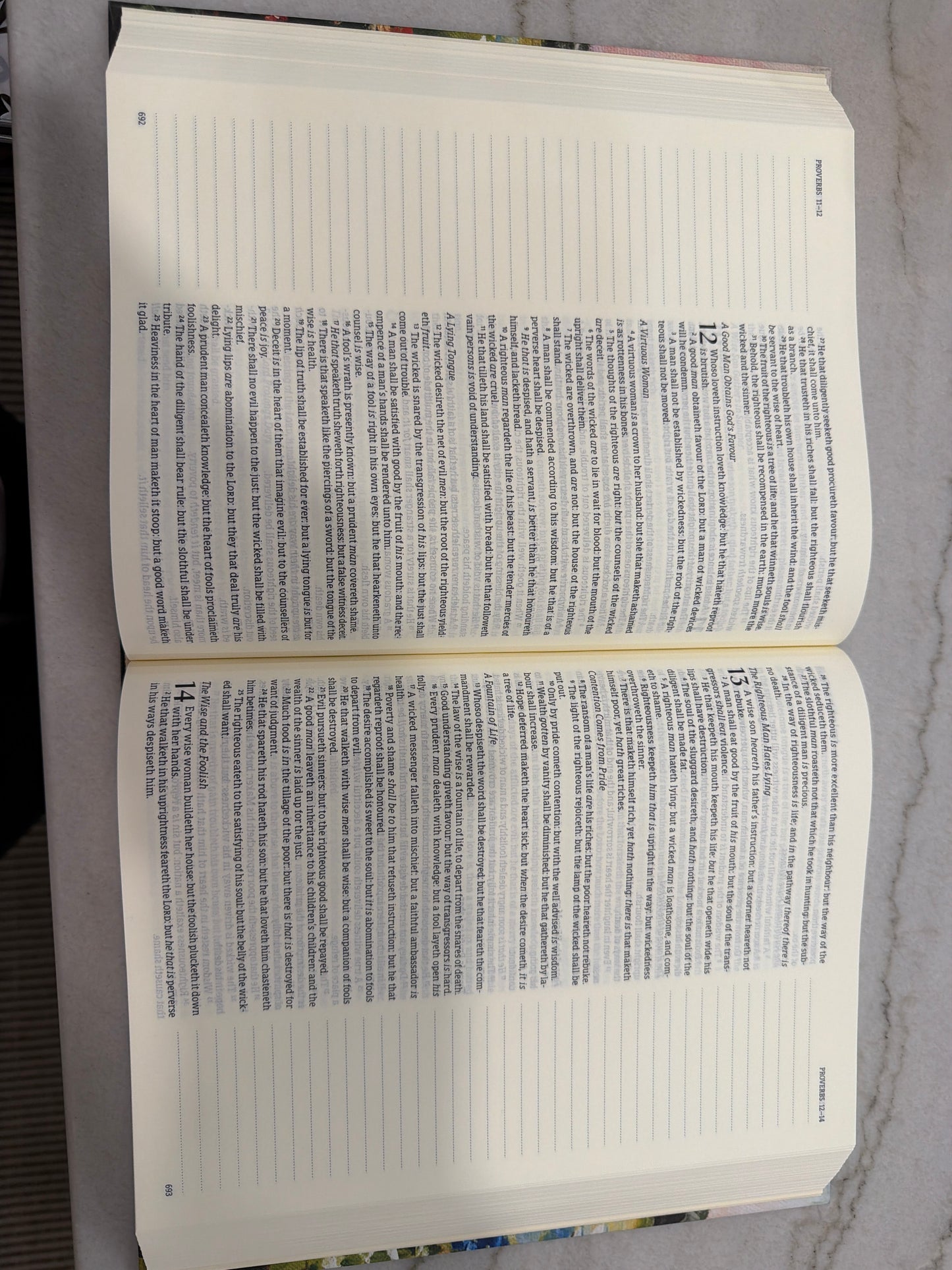 Grace Flower Field Bible Large Print - KJV