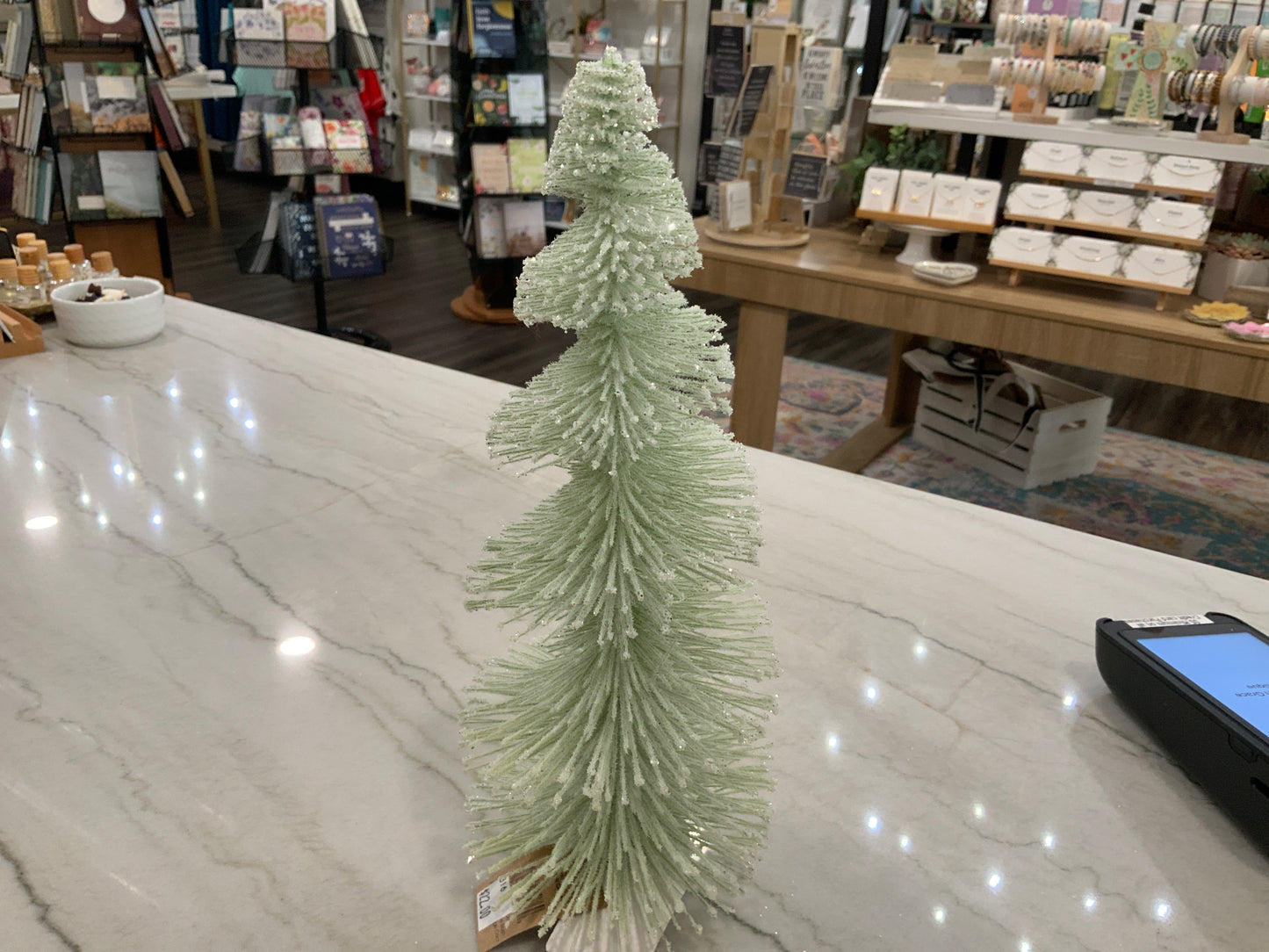 Big Bottle Brush Tree