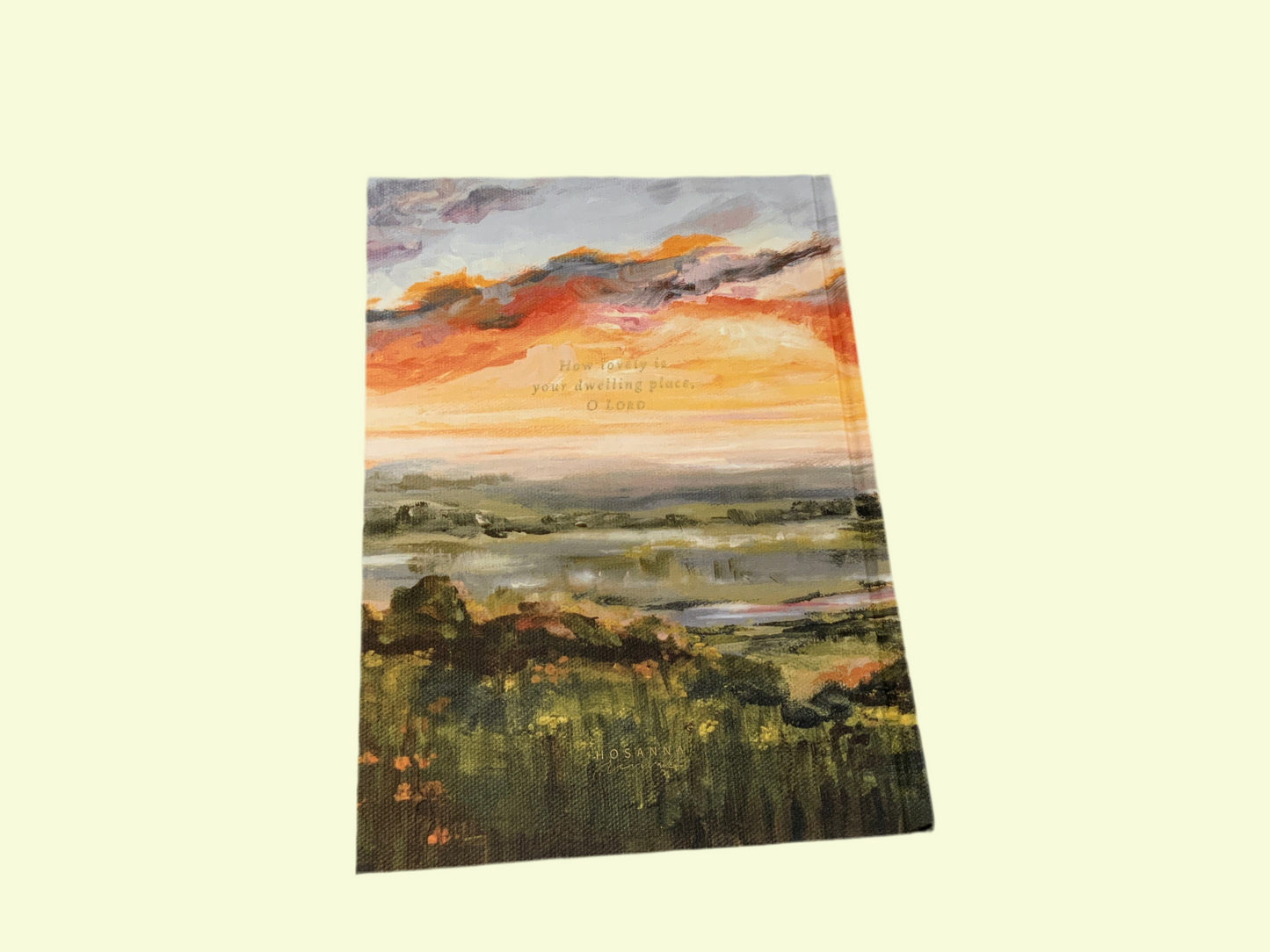 Charlotte Sunset Bible (117)