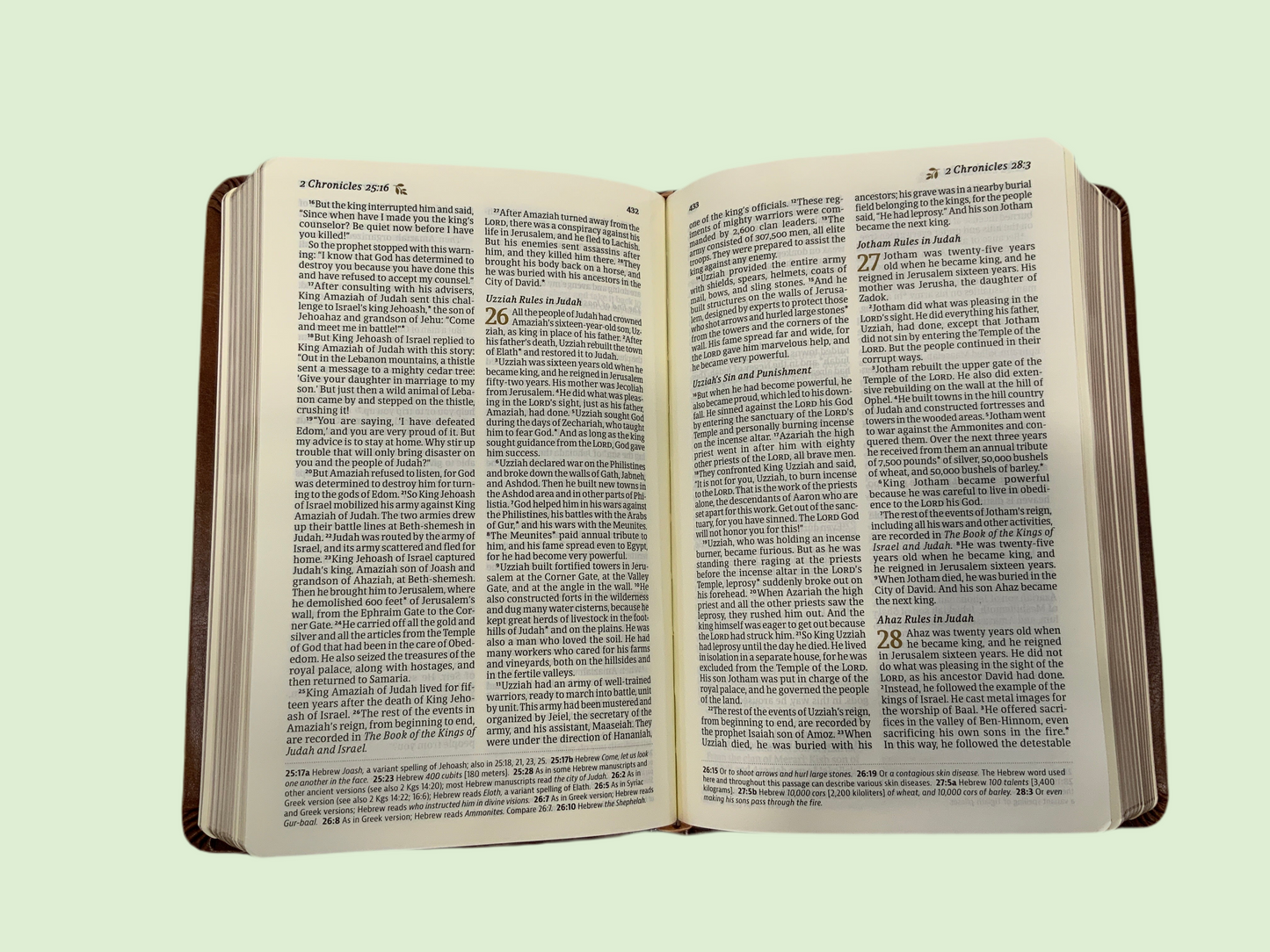 Jade Compact Leather Bible (117)