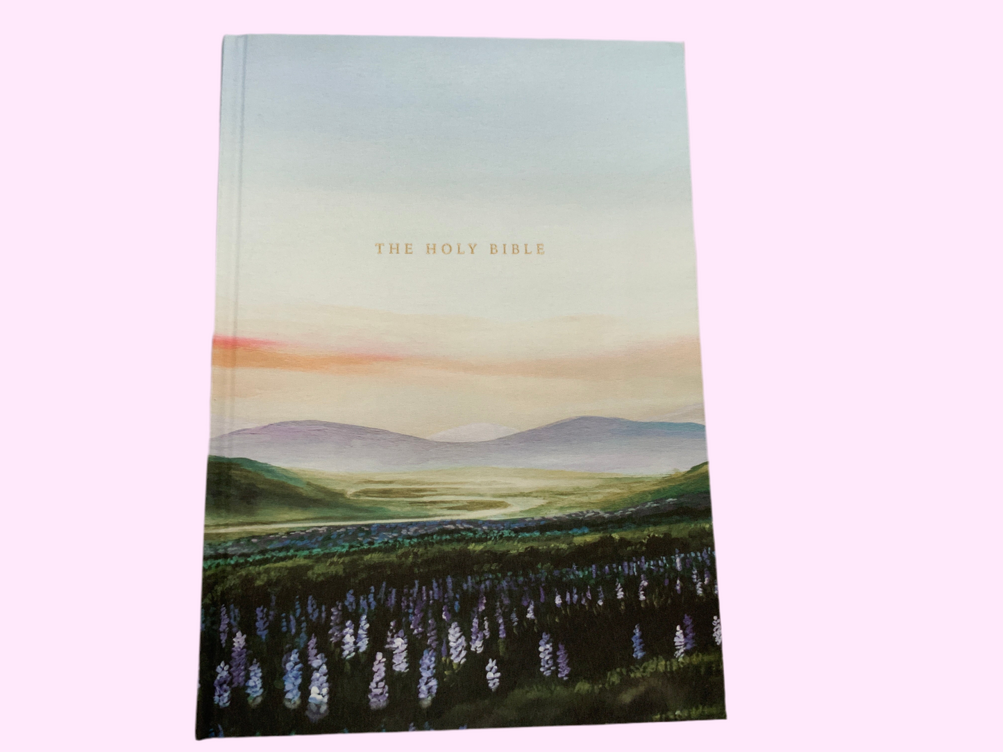 Willow Study Bible (117)