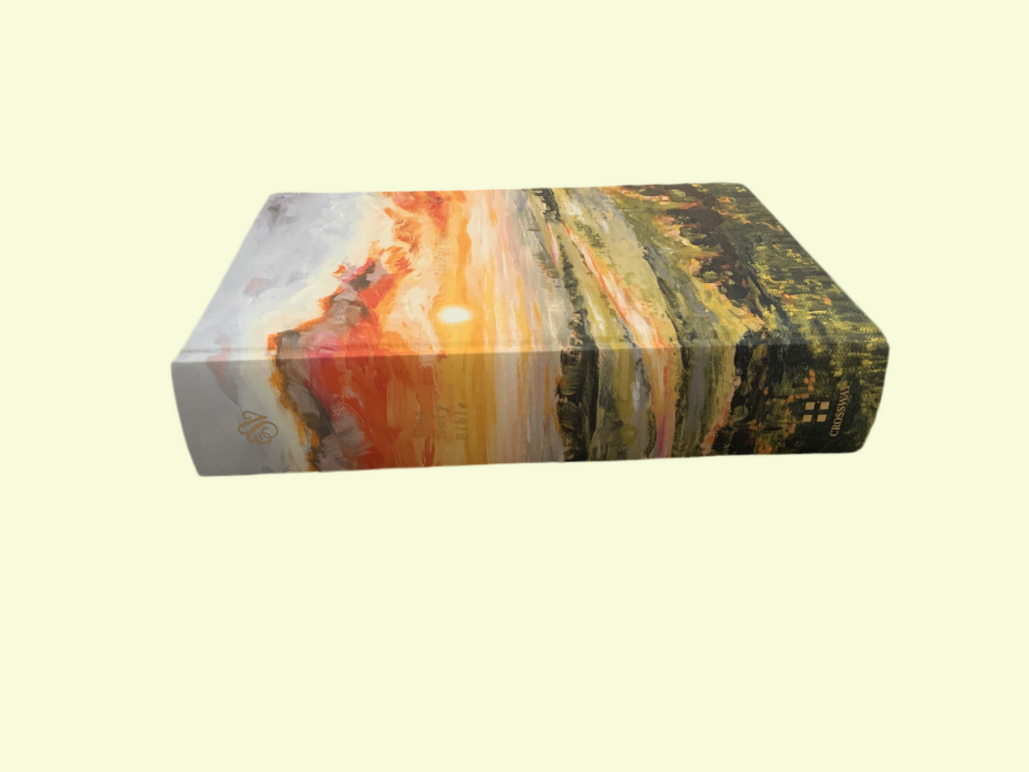Charlotte Sunset Bible (117)