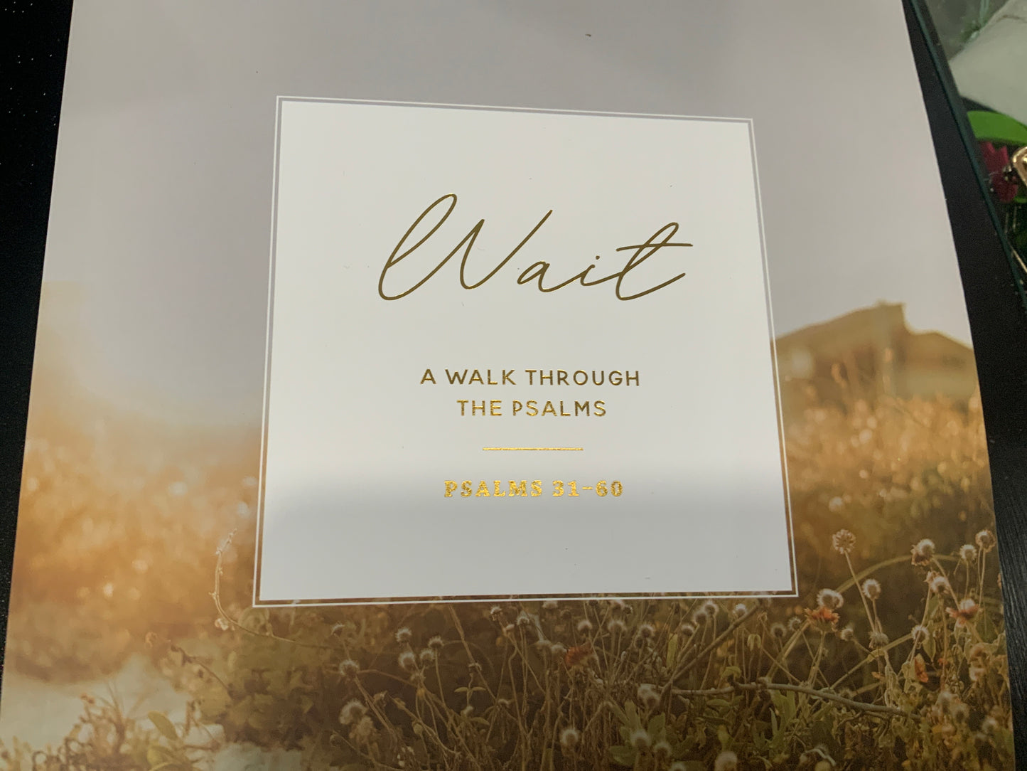 Wait A Walk Through Psalms