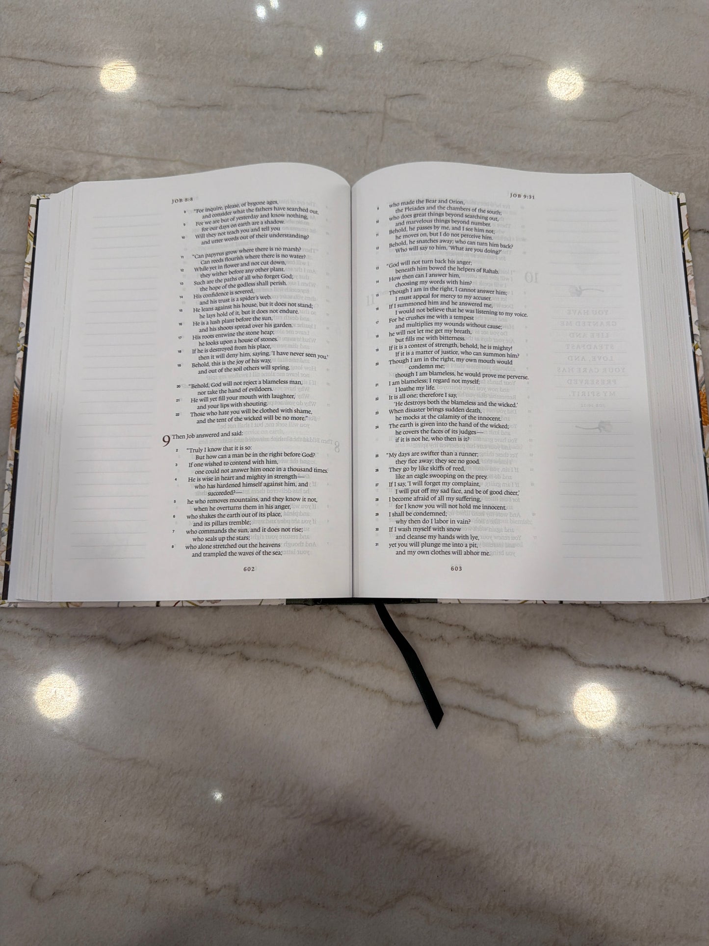 ESV Gracelaced Bible