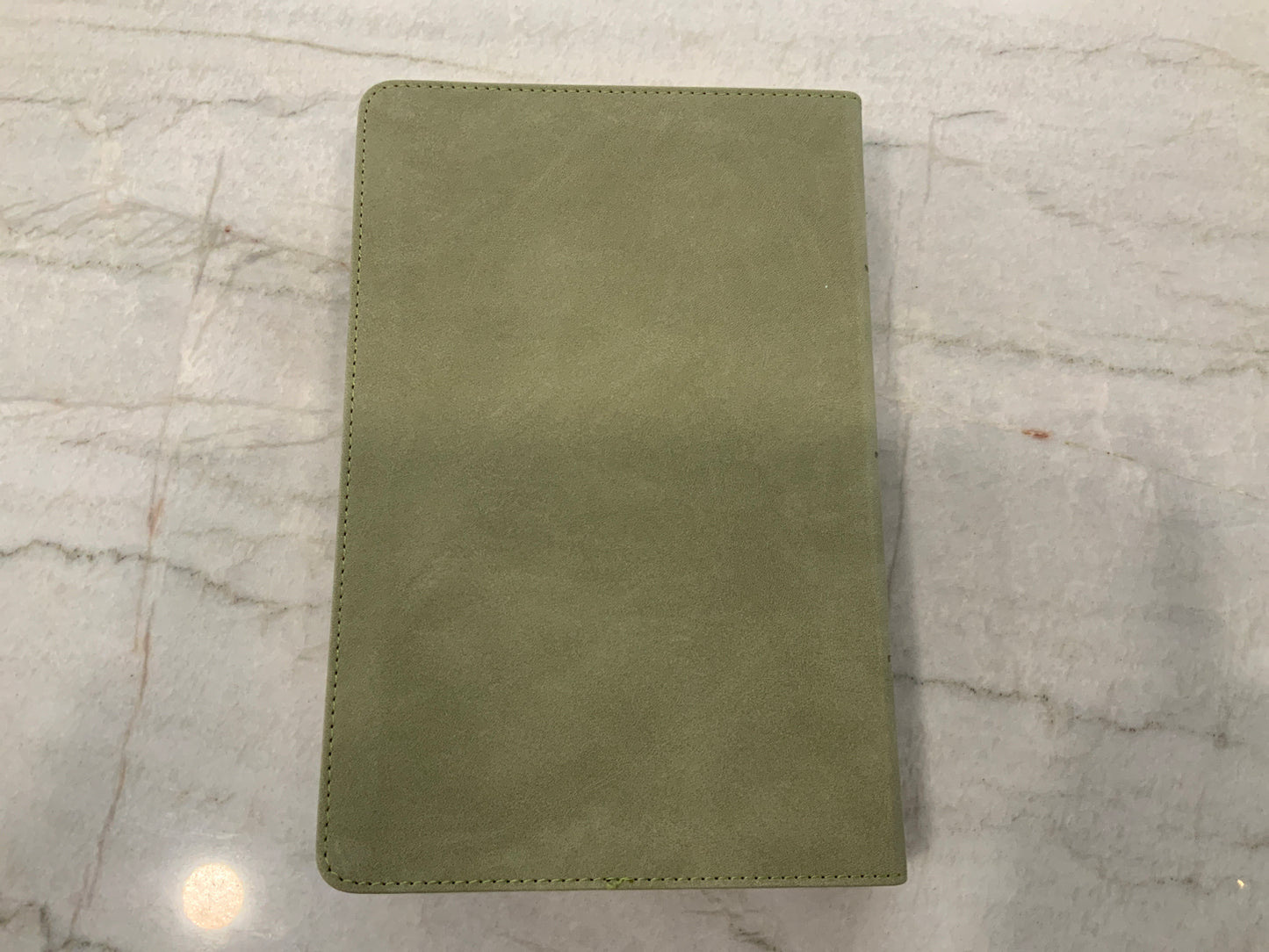 Lacy Green Bible CSB