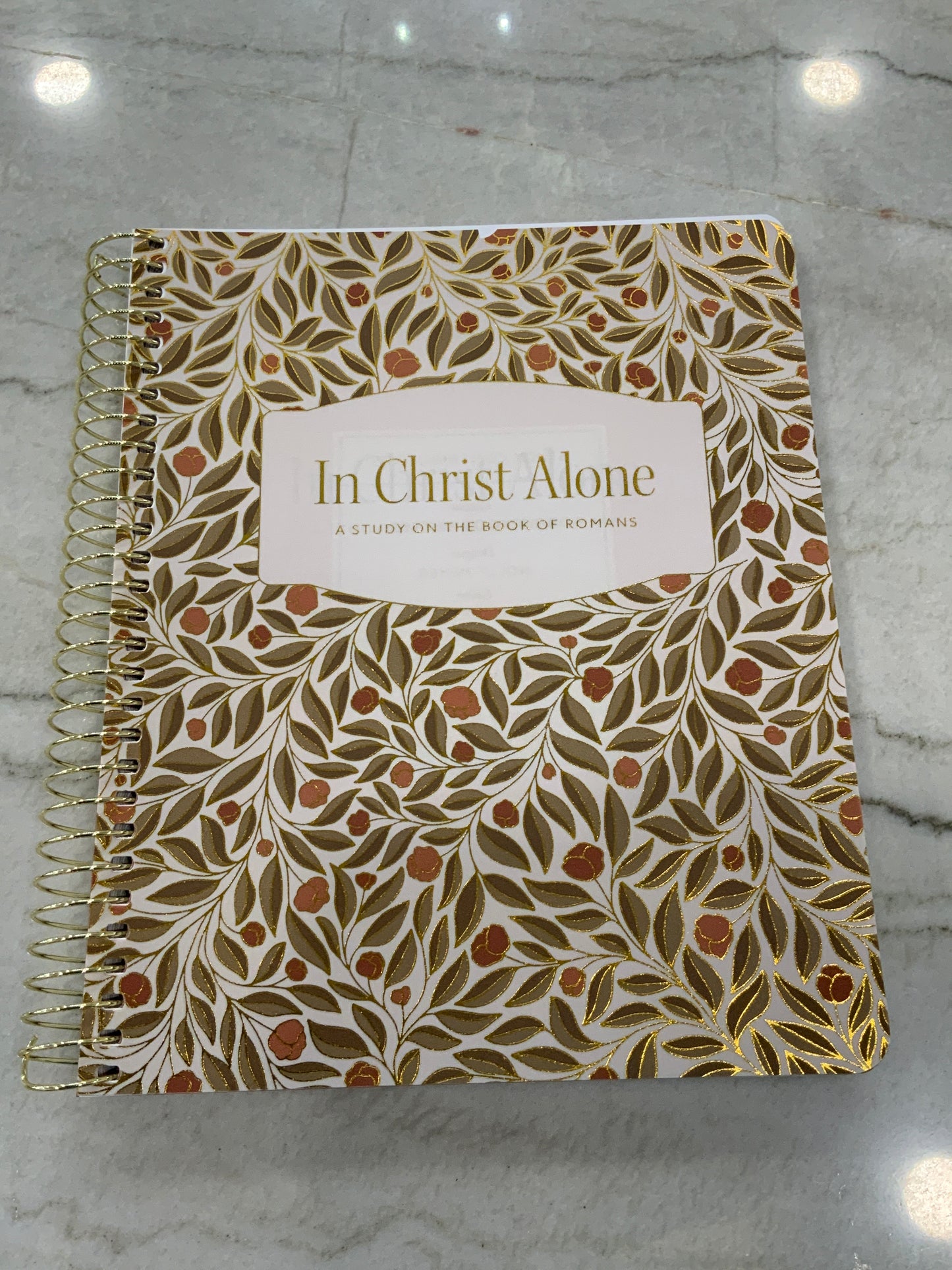 In Christ Alone Study of Romans Devotional