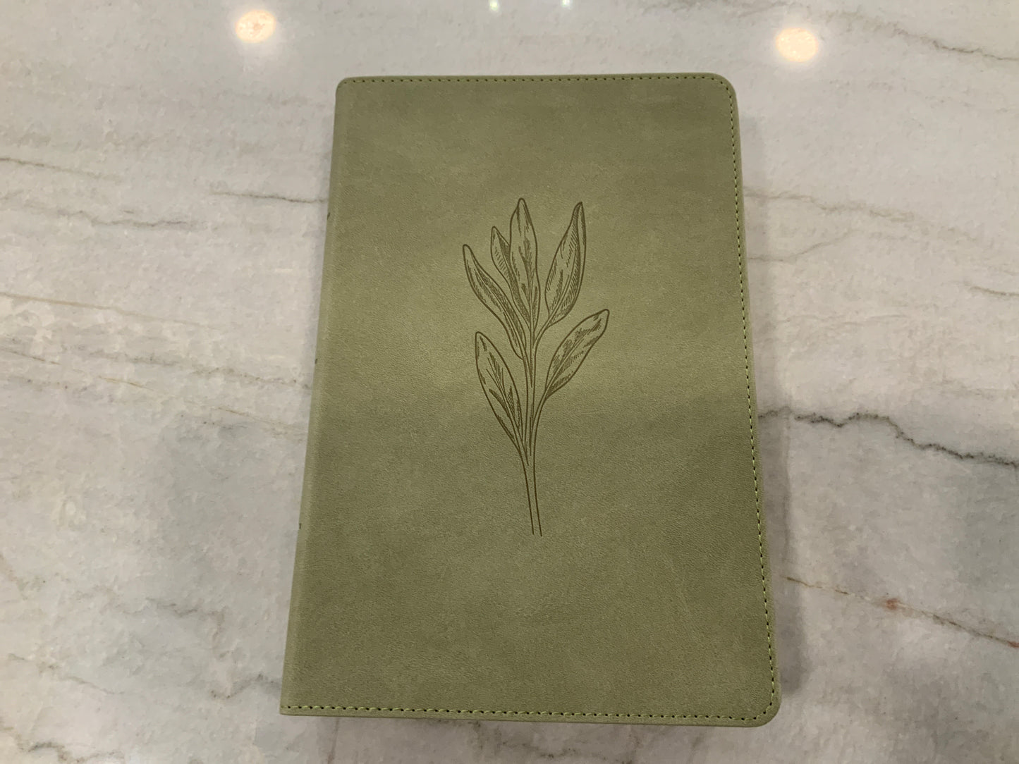 Lacy Green Bible CSB