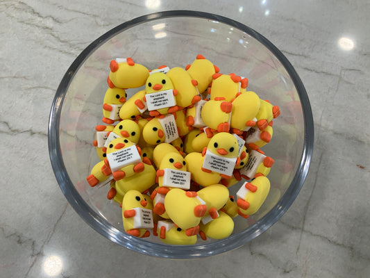 The Lord is my Shepherd duckies
