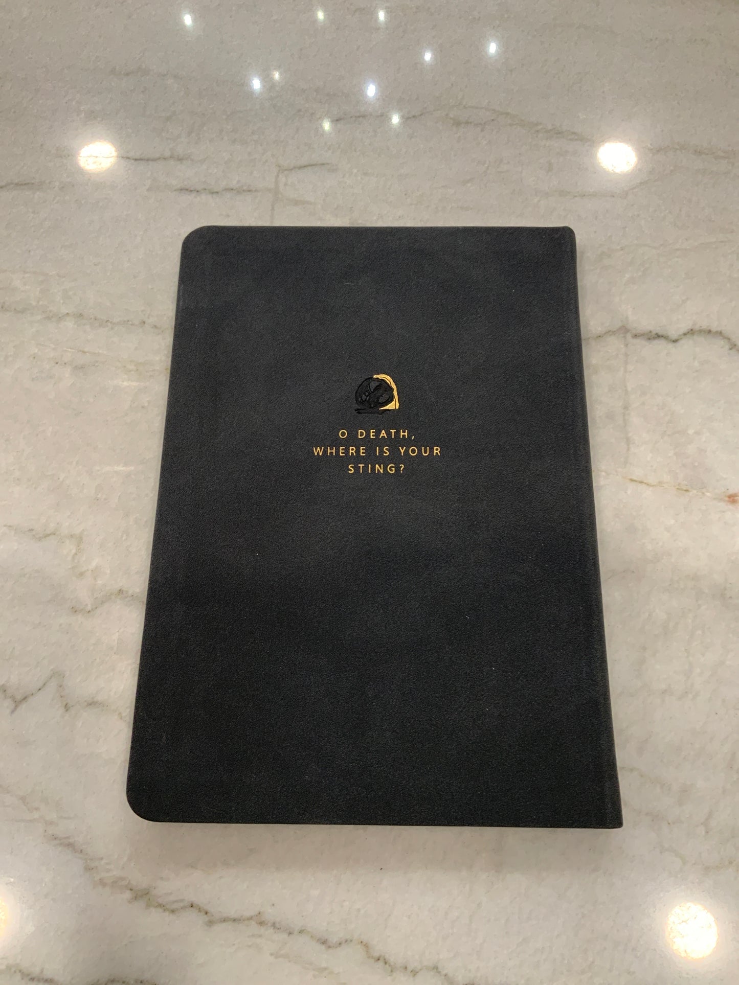 Samatha Notebook (117)