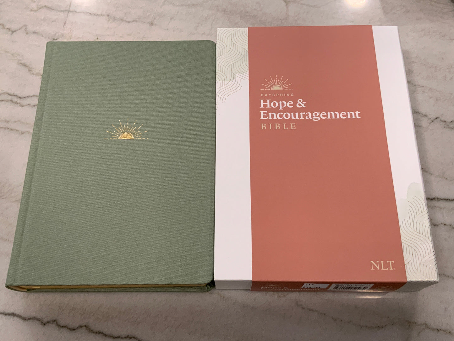 Hope & Encouragement NLT Bible
