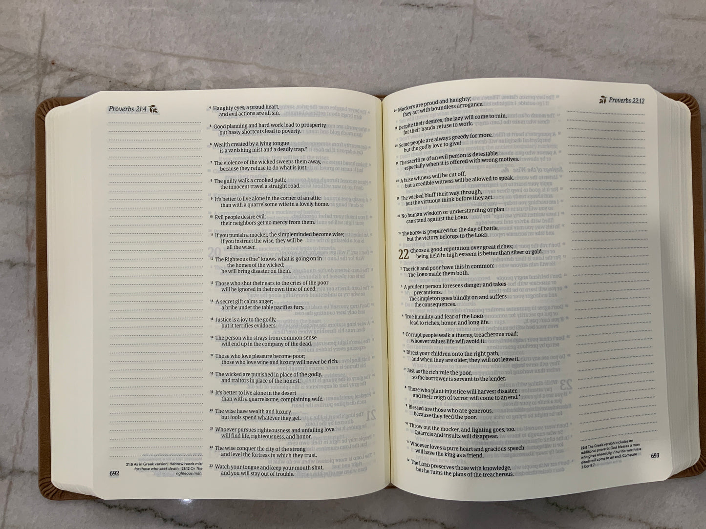 Sunny NLT Bible (117)