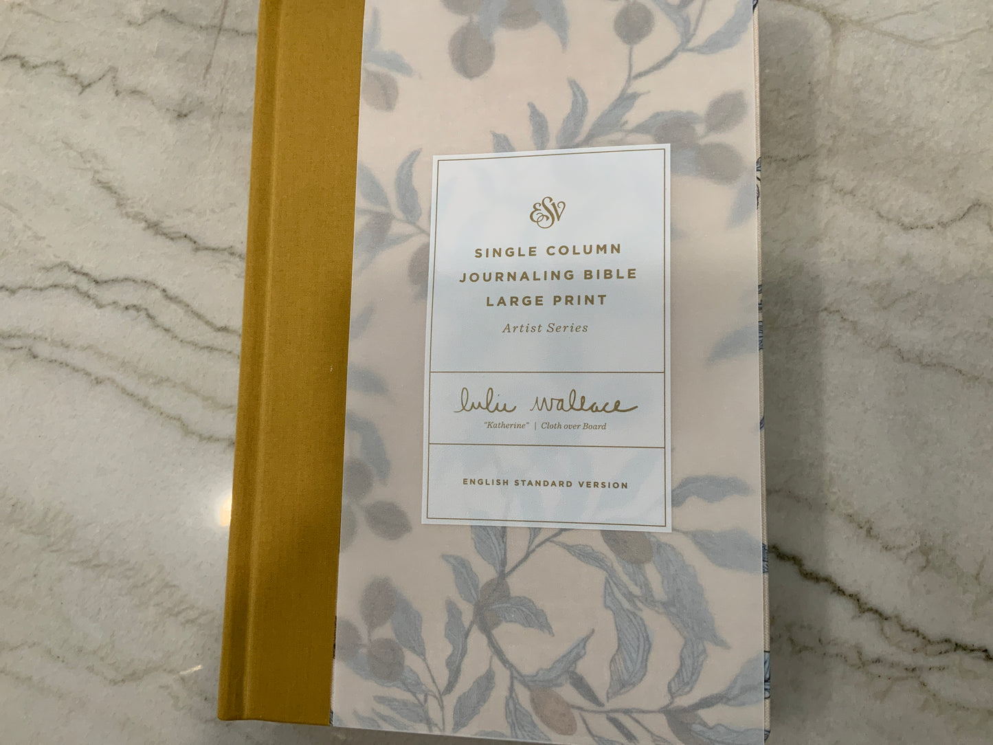 ESV Yellow and blue journaling Bible
