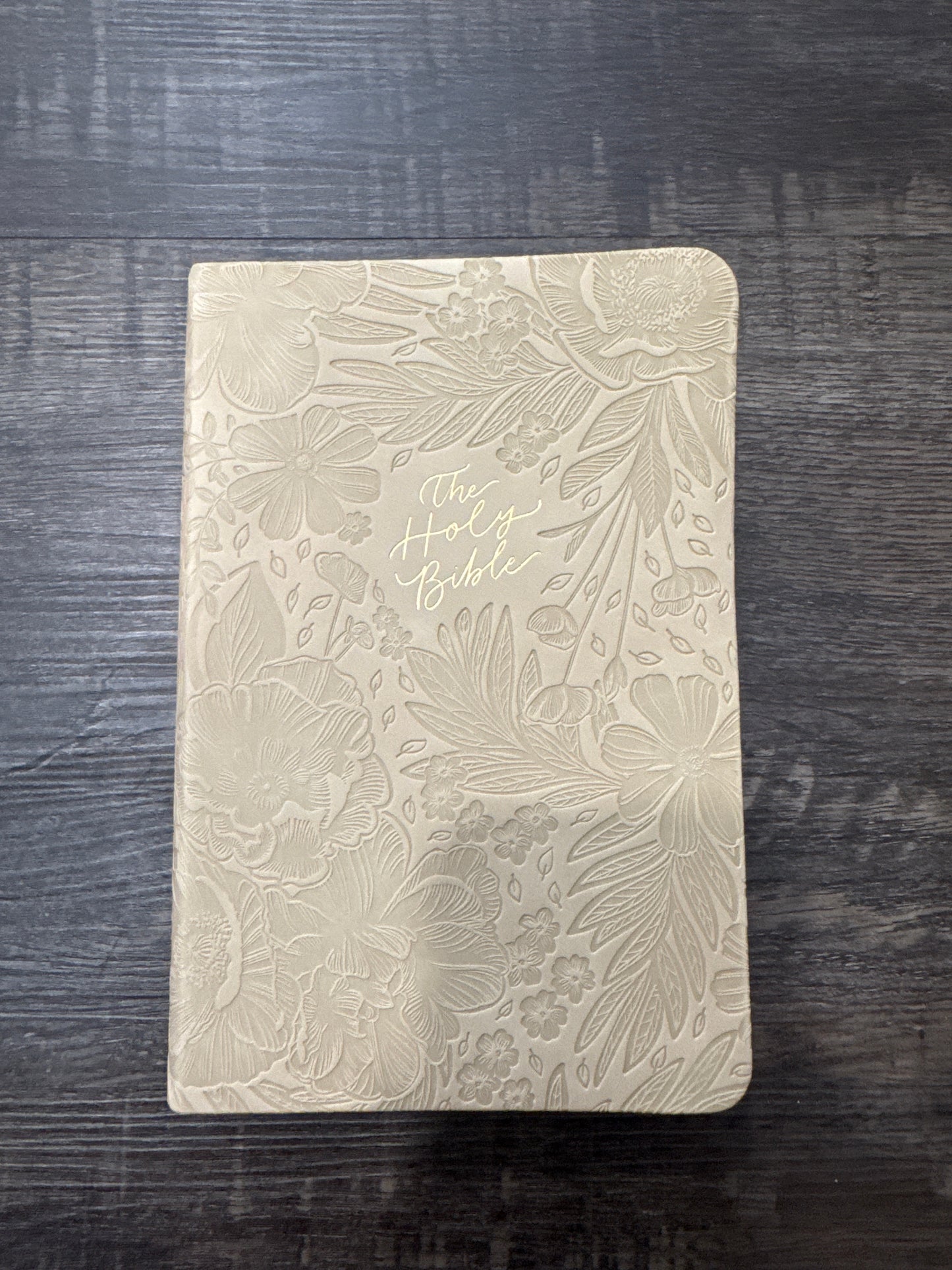 Lola Compact Bible - NLT