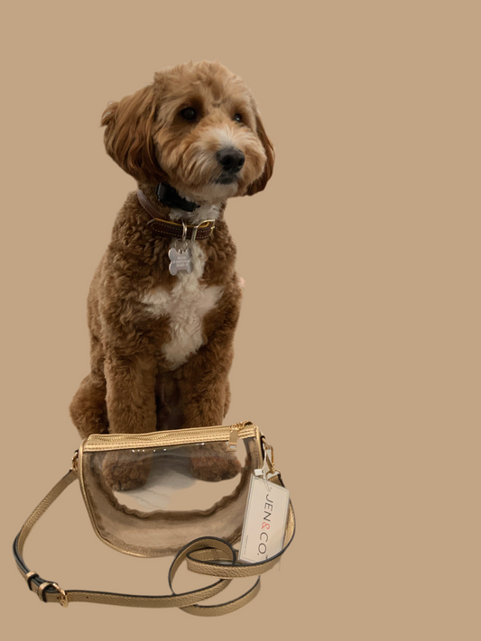 Peyton Gold Clear Crossbody