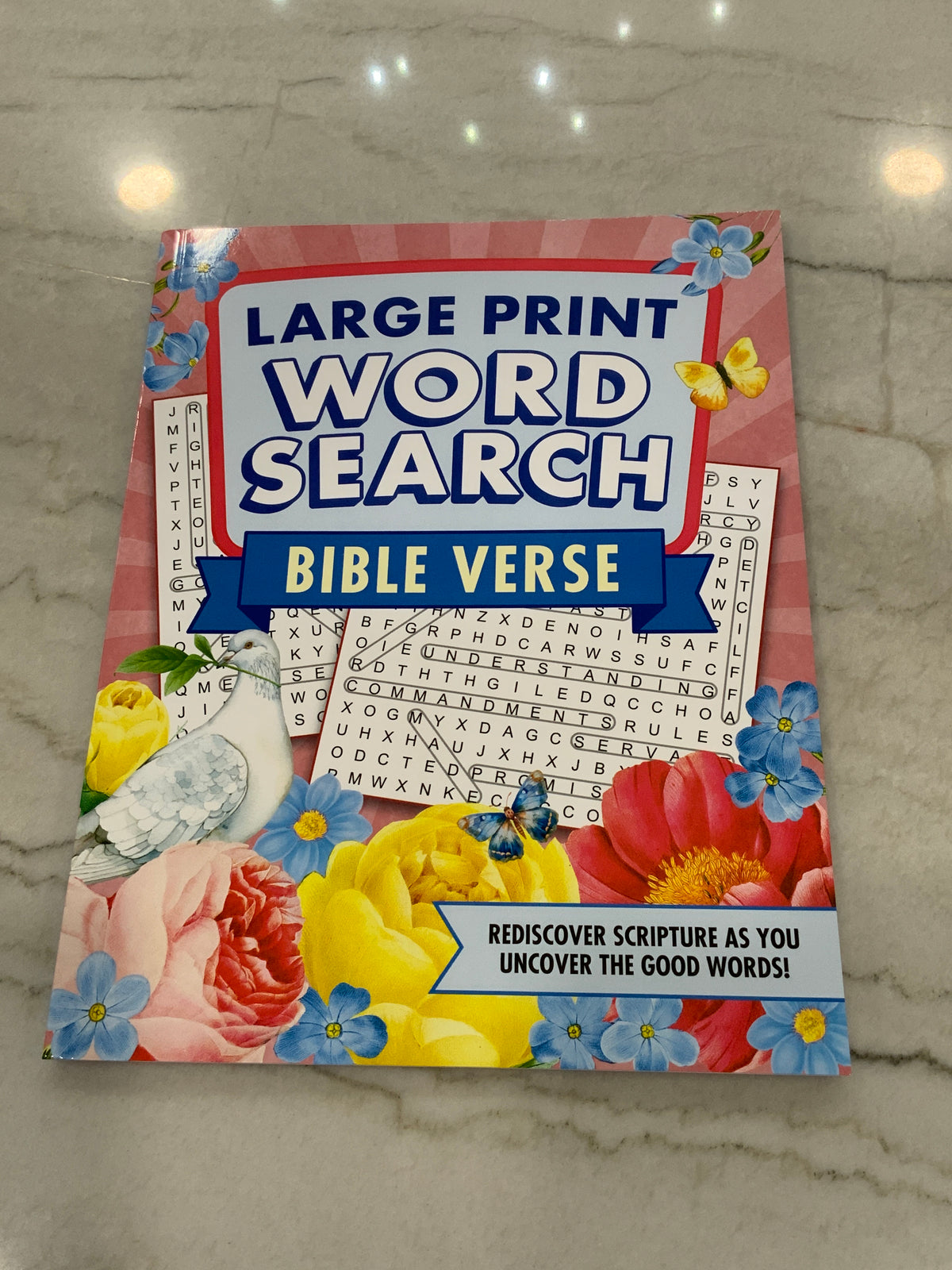 Word Search Bible Verse Large Print