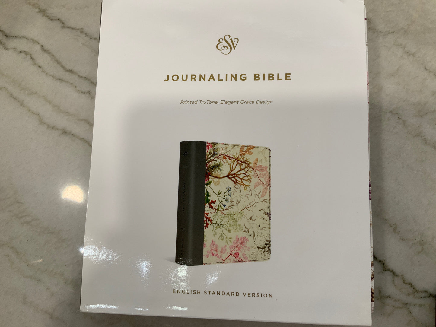 Journaling Bible Elegant Grace