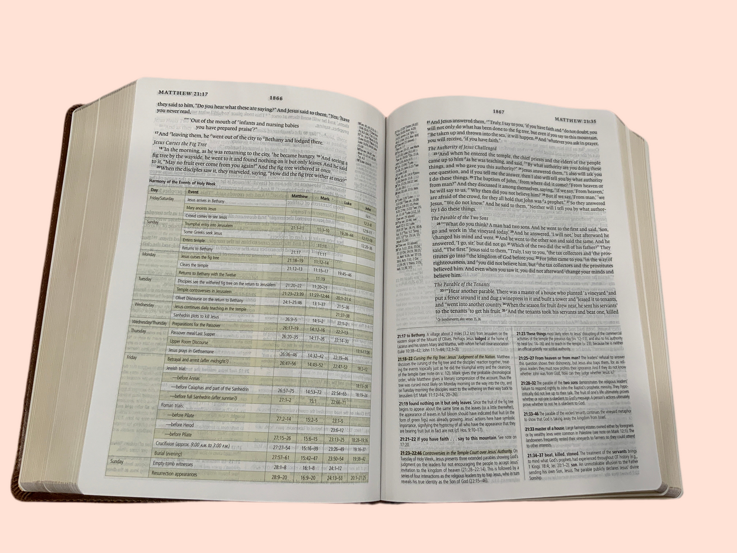 Anna Study Bible - ESV